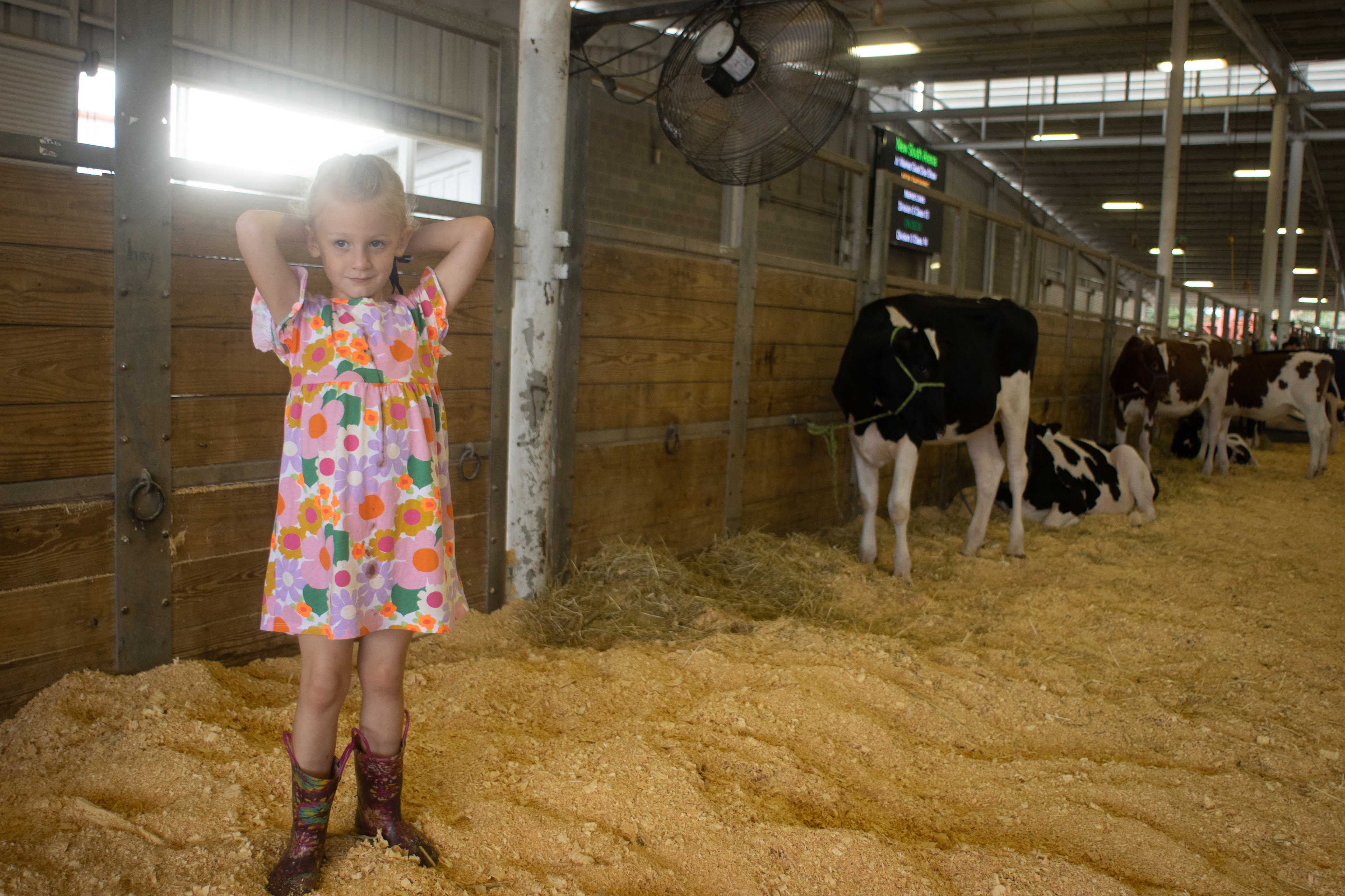 Marlee London of Cleveland, Georgia, 5, plays near her family's cow pen at the Georgia National Fairgrounds and Agriculture Center on Oct. 5, 2024.