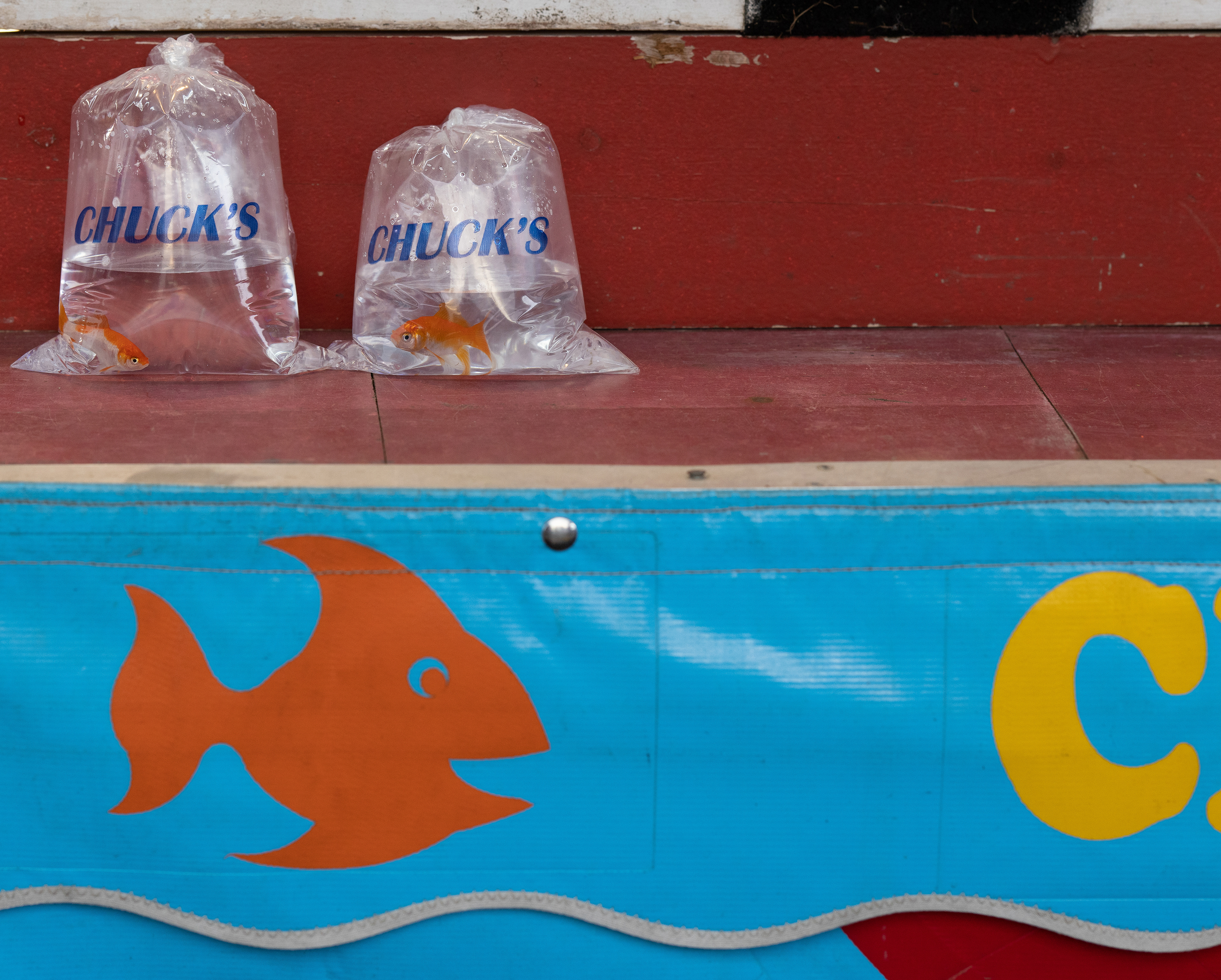 Bags of goldfish rest outside of a fair game waiting to be won at the Georgia National Fairgrounds and Agriculture Center on Oct. 5, 2024.