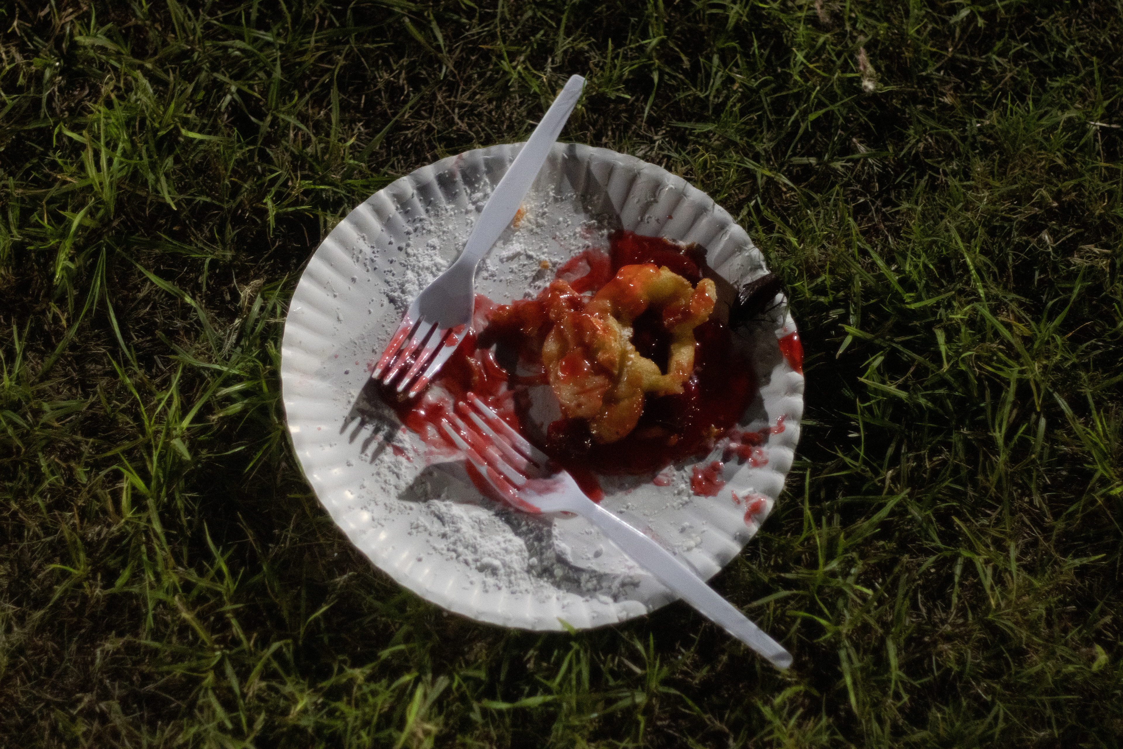 A half-eaten plate of funnel cake, accompanied by a cockroach, lays in the grass after the Georgia National Fairgrounds has closed for the night on Oct. 5, 2024. 