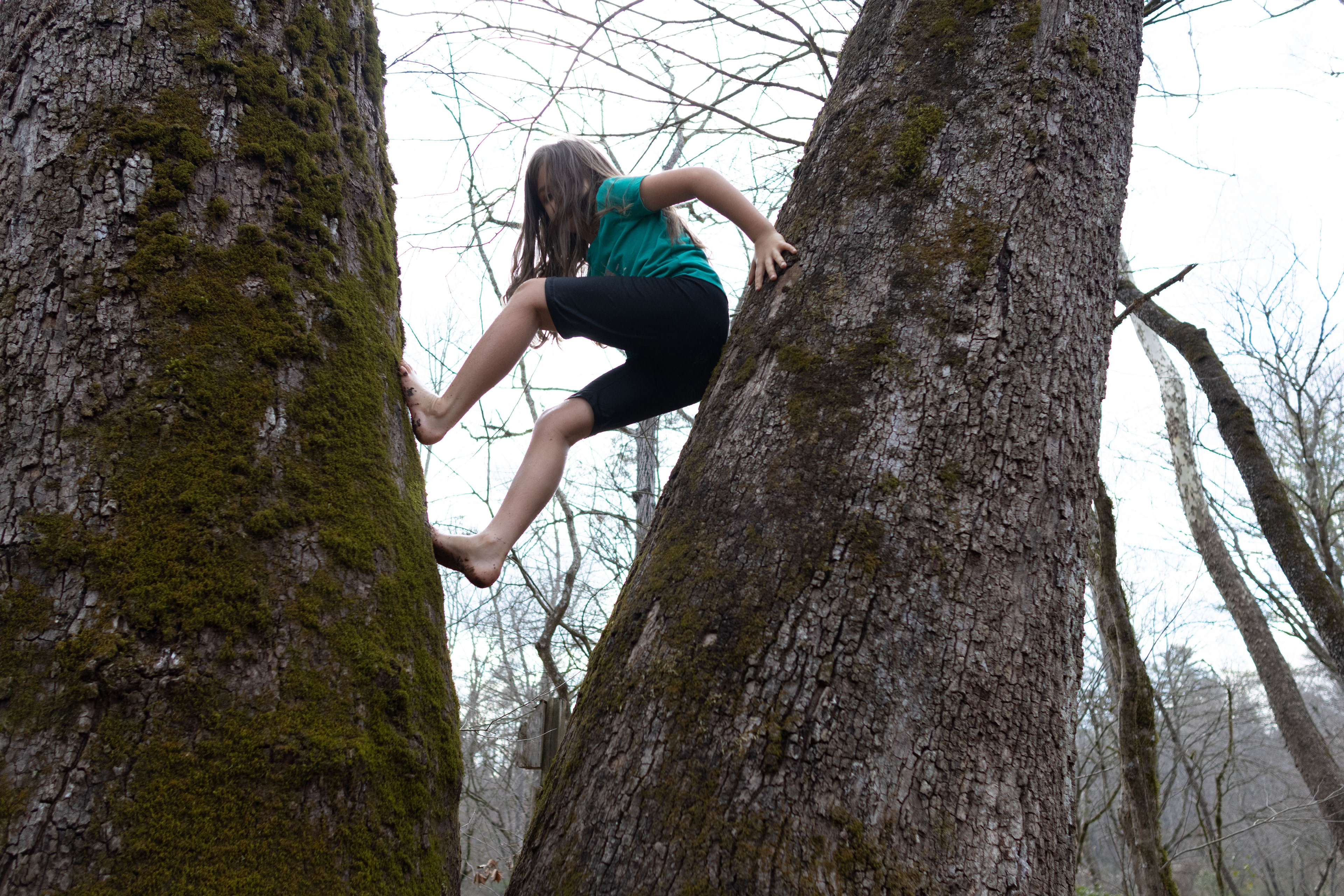Winnie O'Day (8) climbs a tree in her backyard in Rabun County, Ga on March 14, 2025. The land is also known as Hatch Camp and Art Farm, a fishing charter owned by her father Scott Low. 