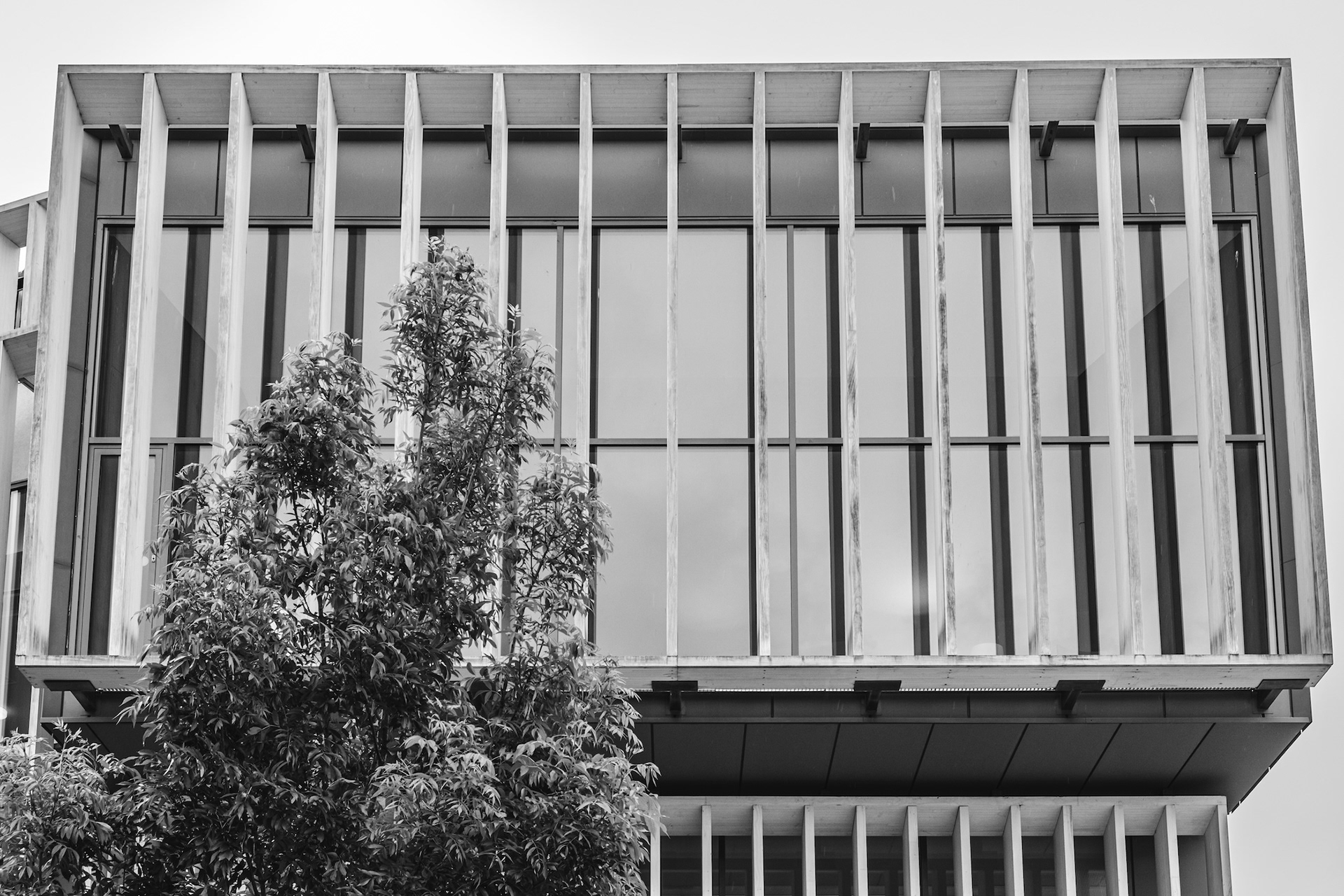 Biblioteca Pilarin Bayés