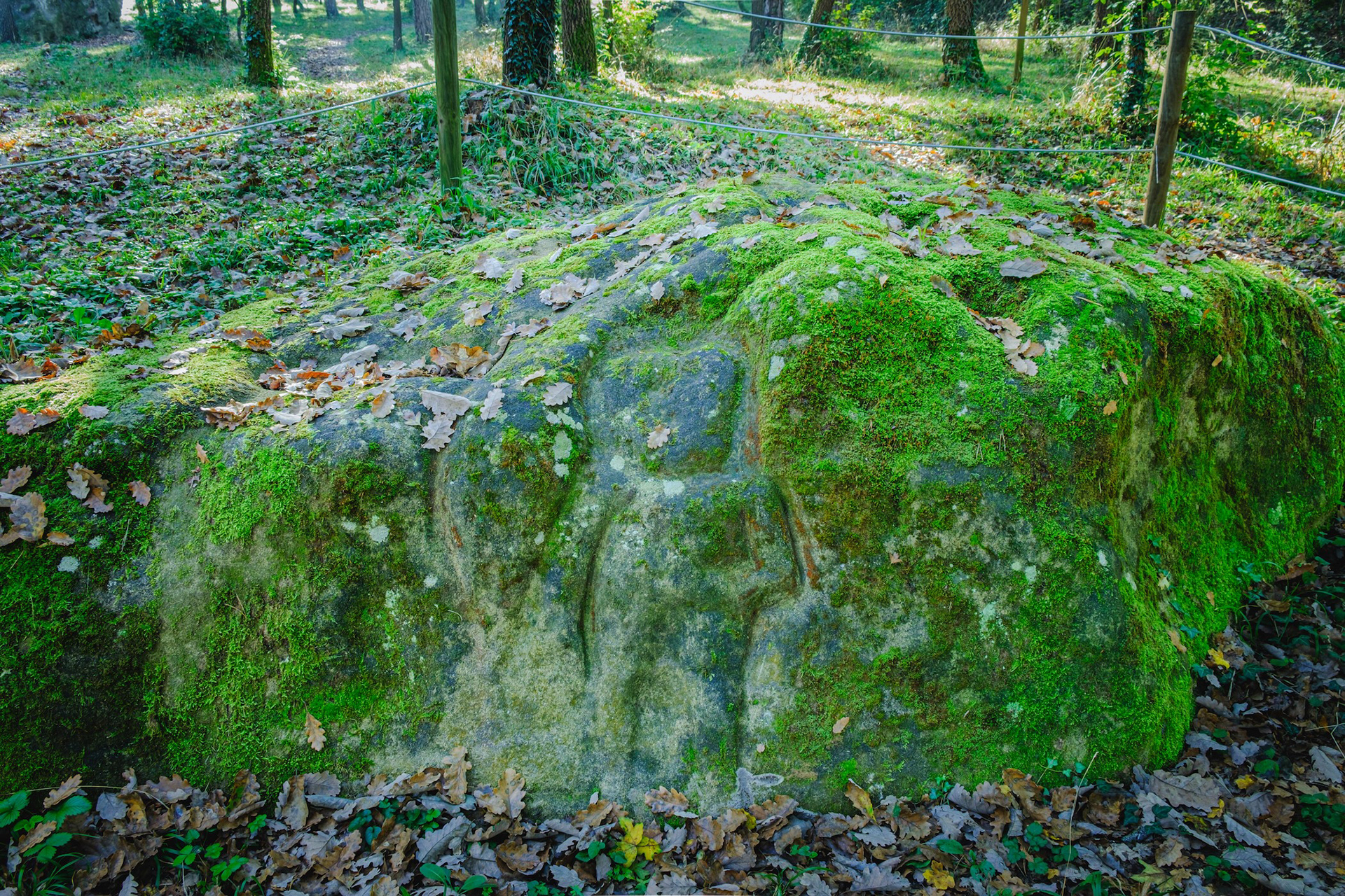 Pedra de l'Home de Savassona