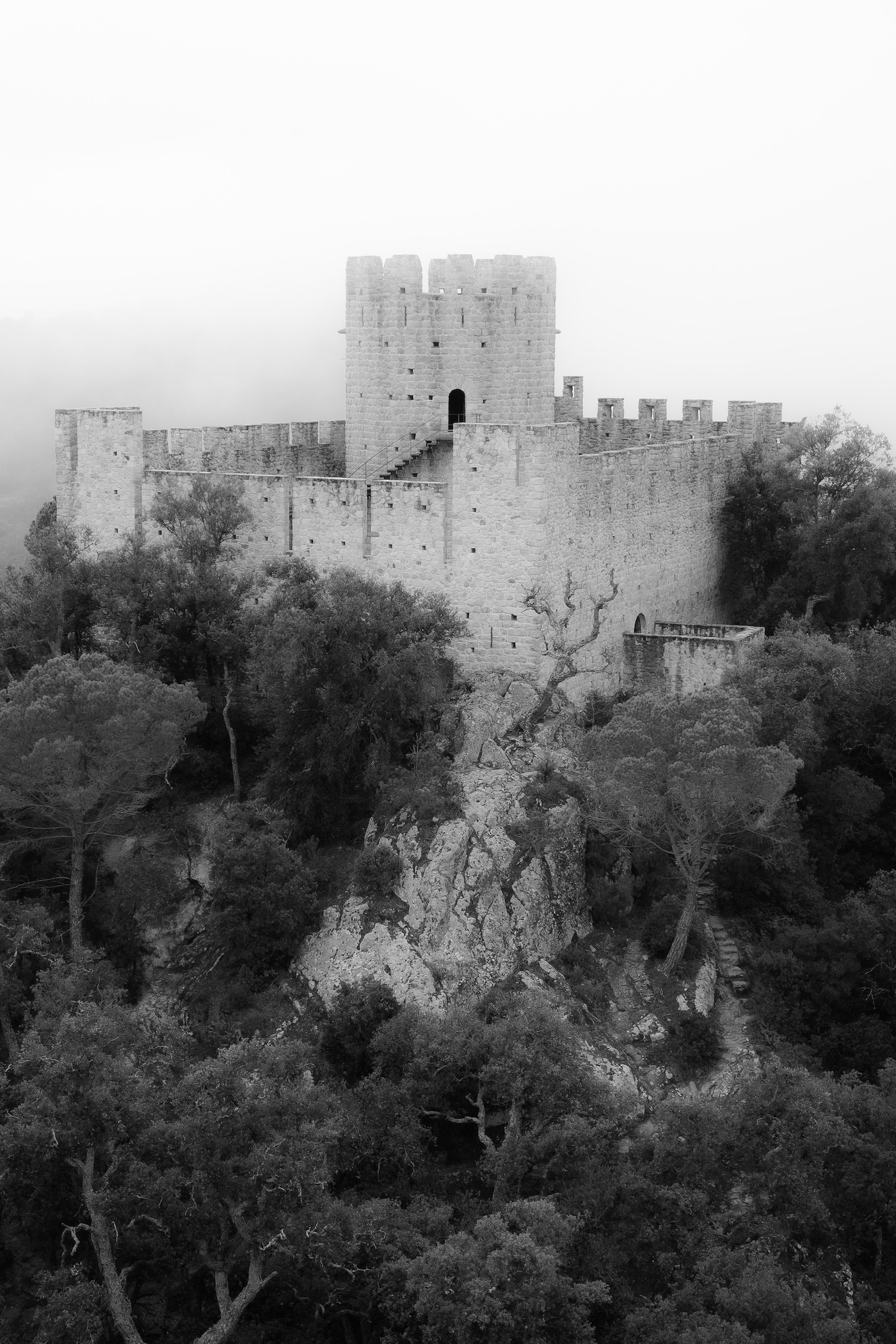 Castell de Farners