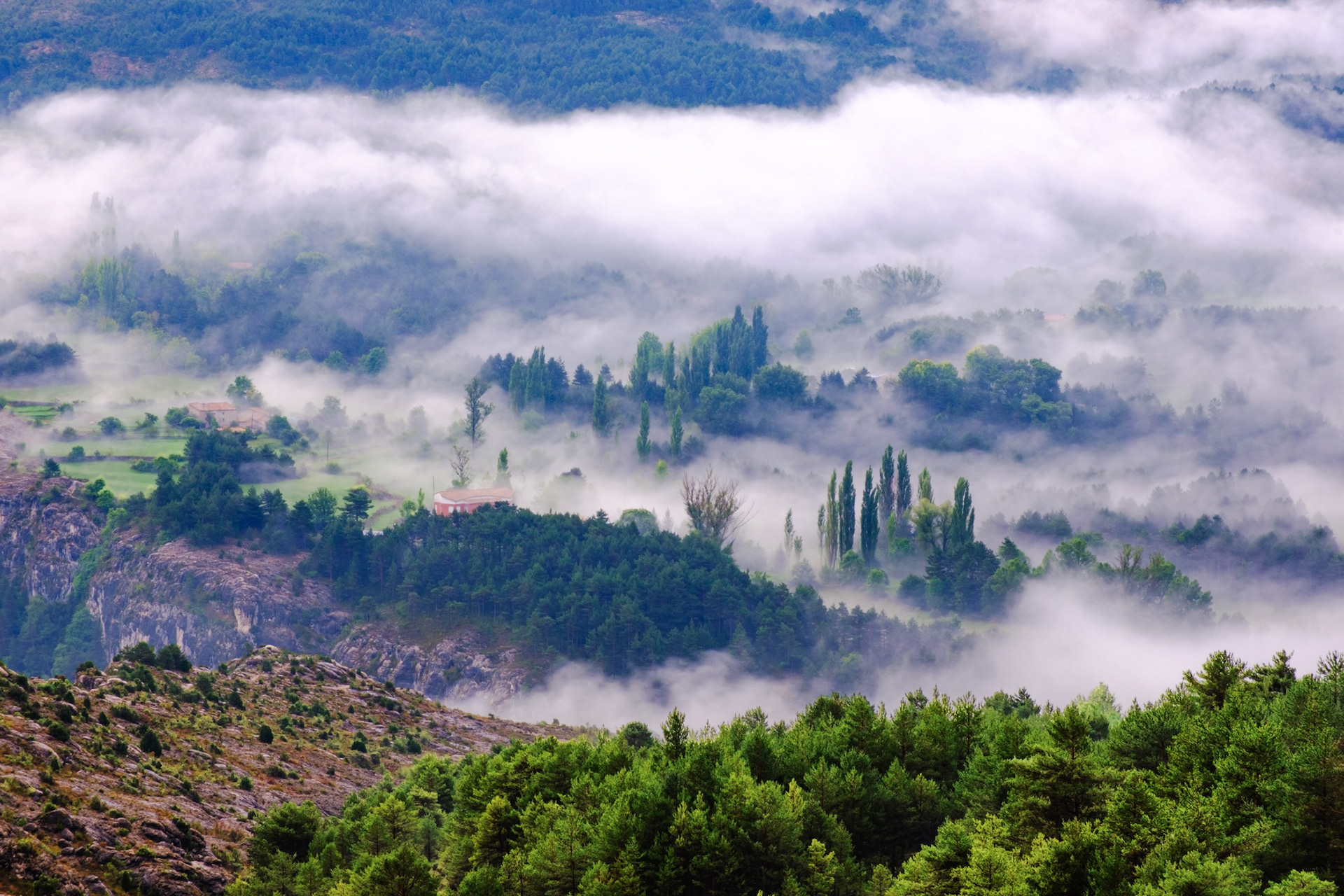 Coma d'Arnau, l'Alt Berguedà