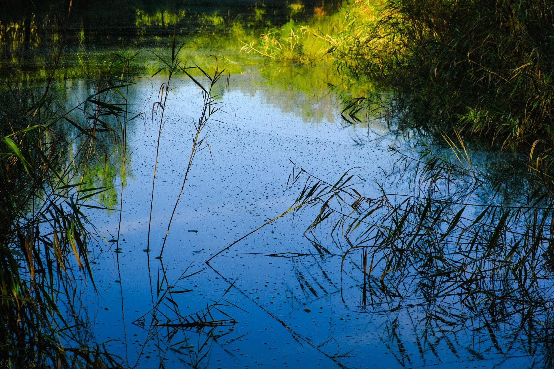Pantà del Garet, el Lluçanès