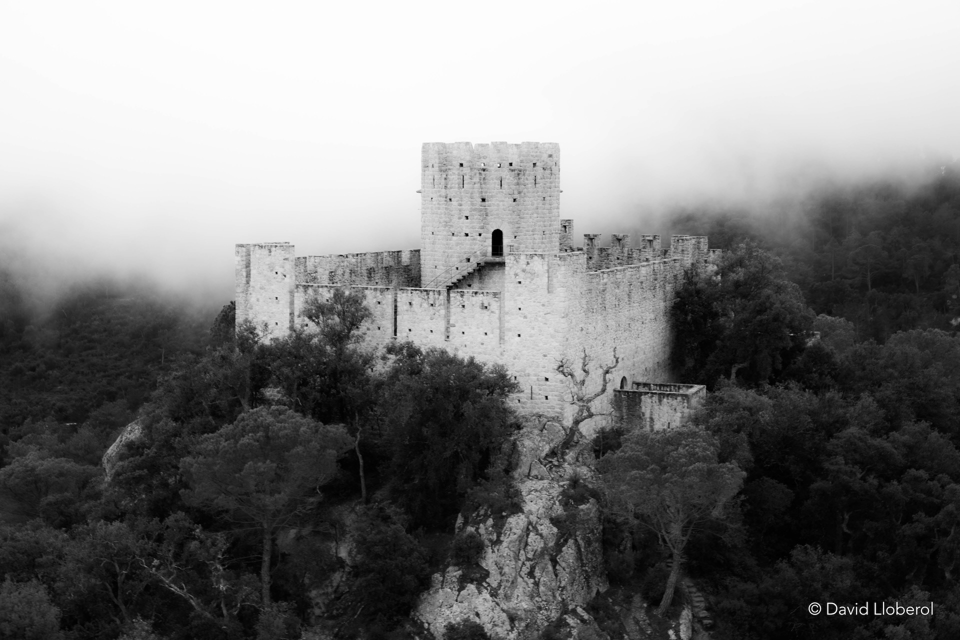 Castell de Farners