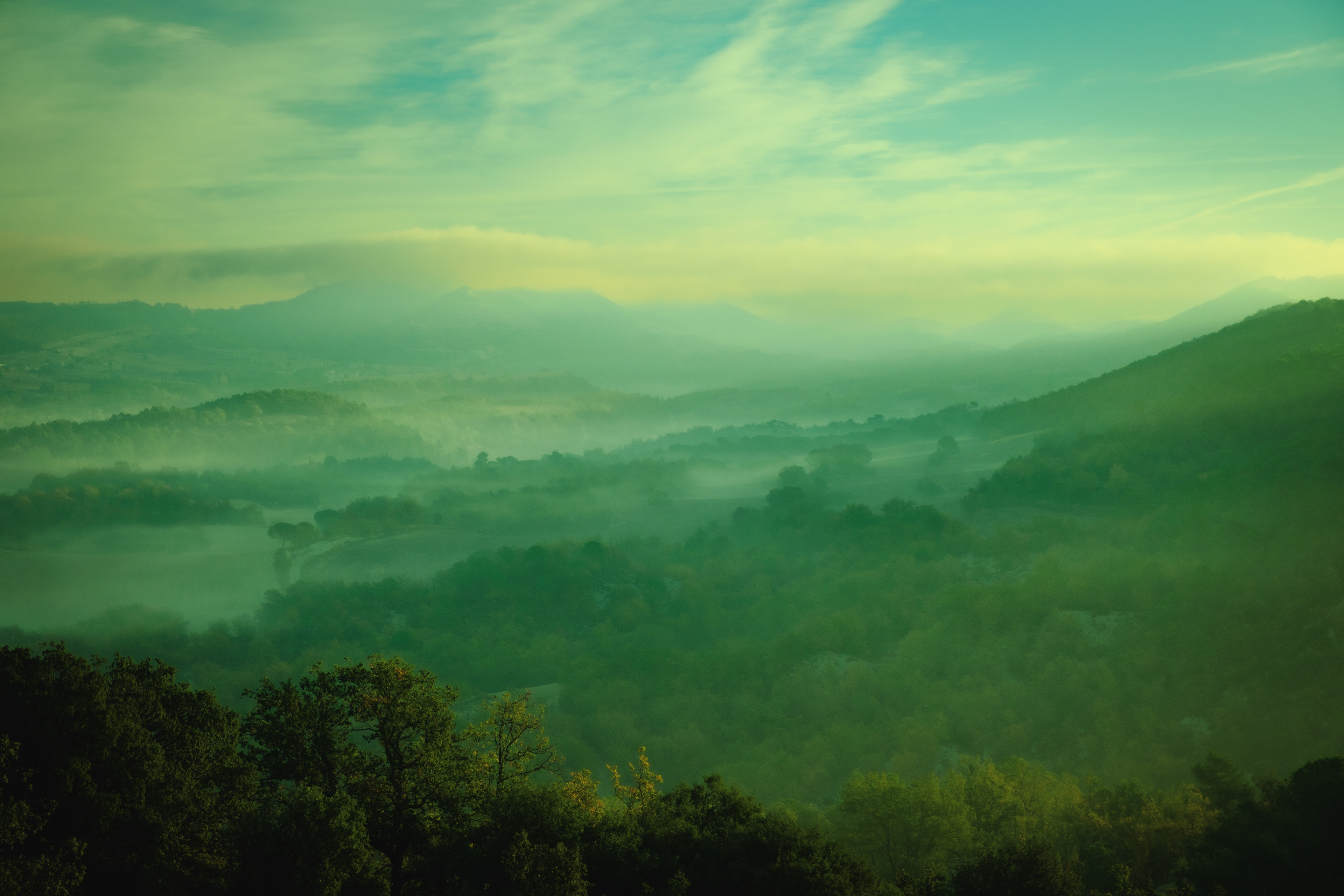 Vall del torrent dels Pilots, la Segarra Calafina