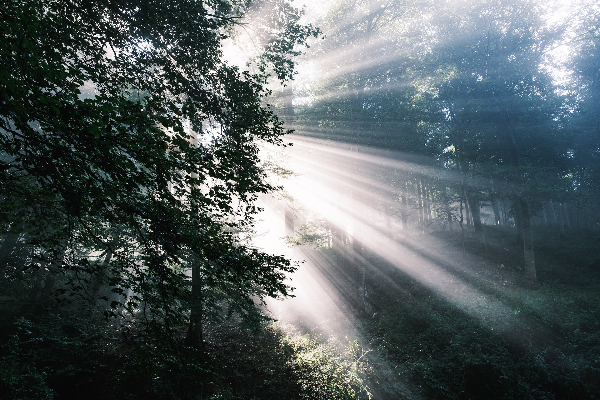 Rajos crepusculars, serra Cavallera