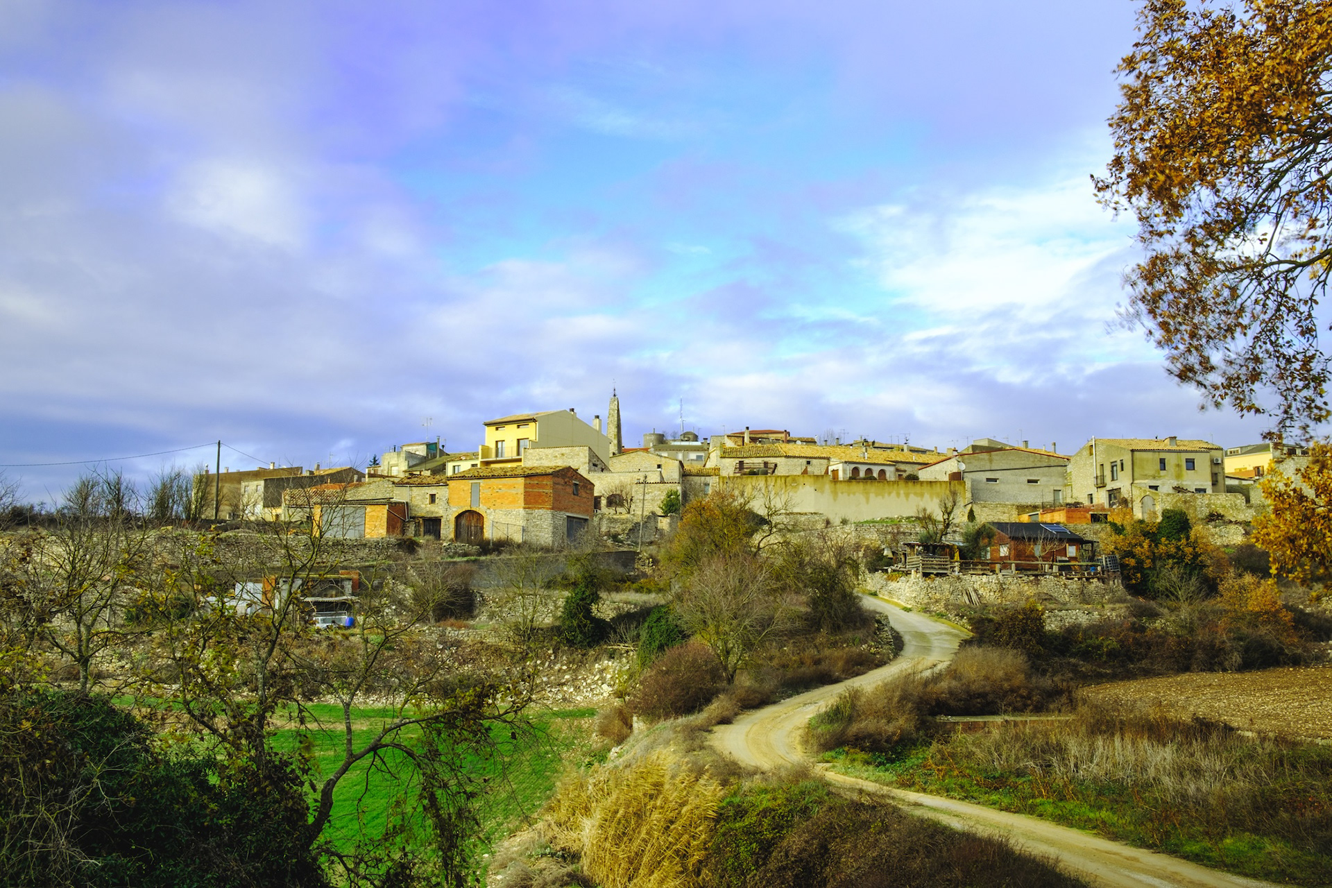 Vista de Pujalt, la Segarra Calafina