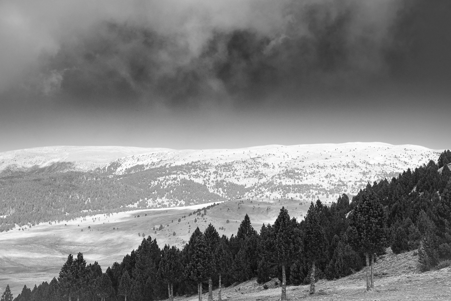 La Bòfia, el Port del Comte