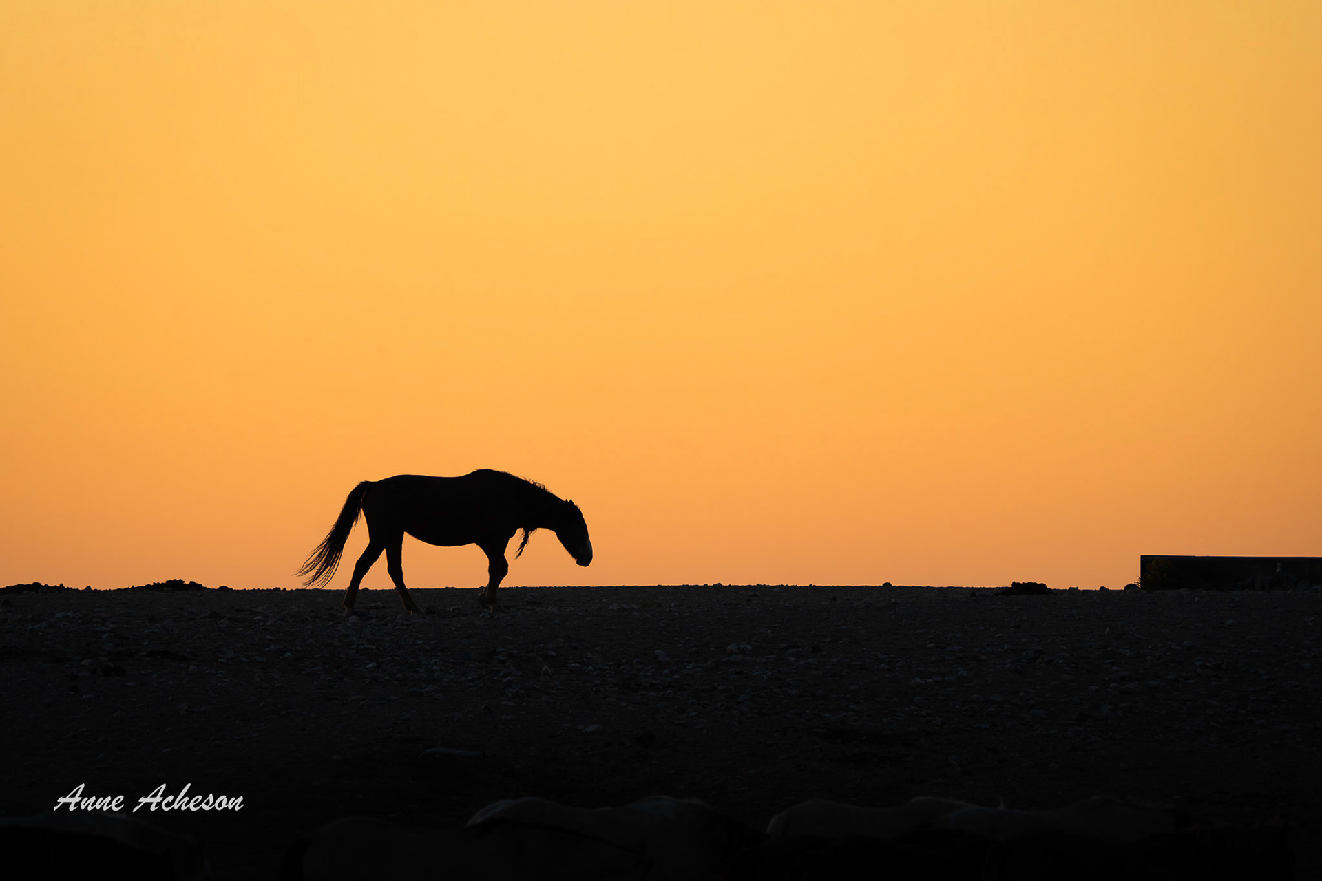 Onaqui Silhouette I - 25056