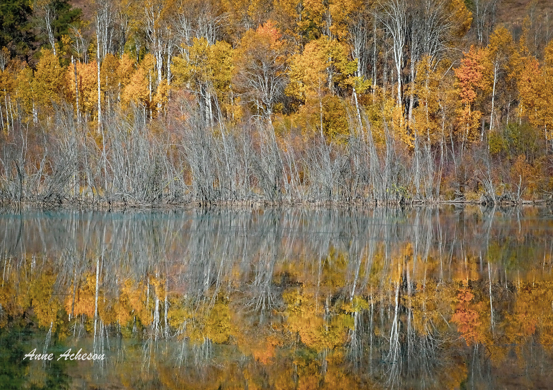 Autumn Reflections - 18051