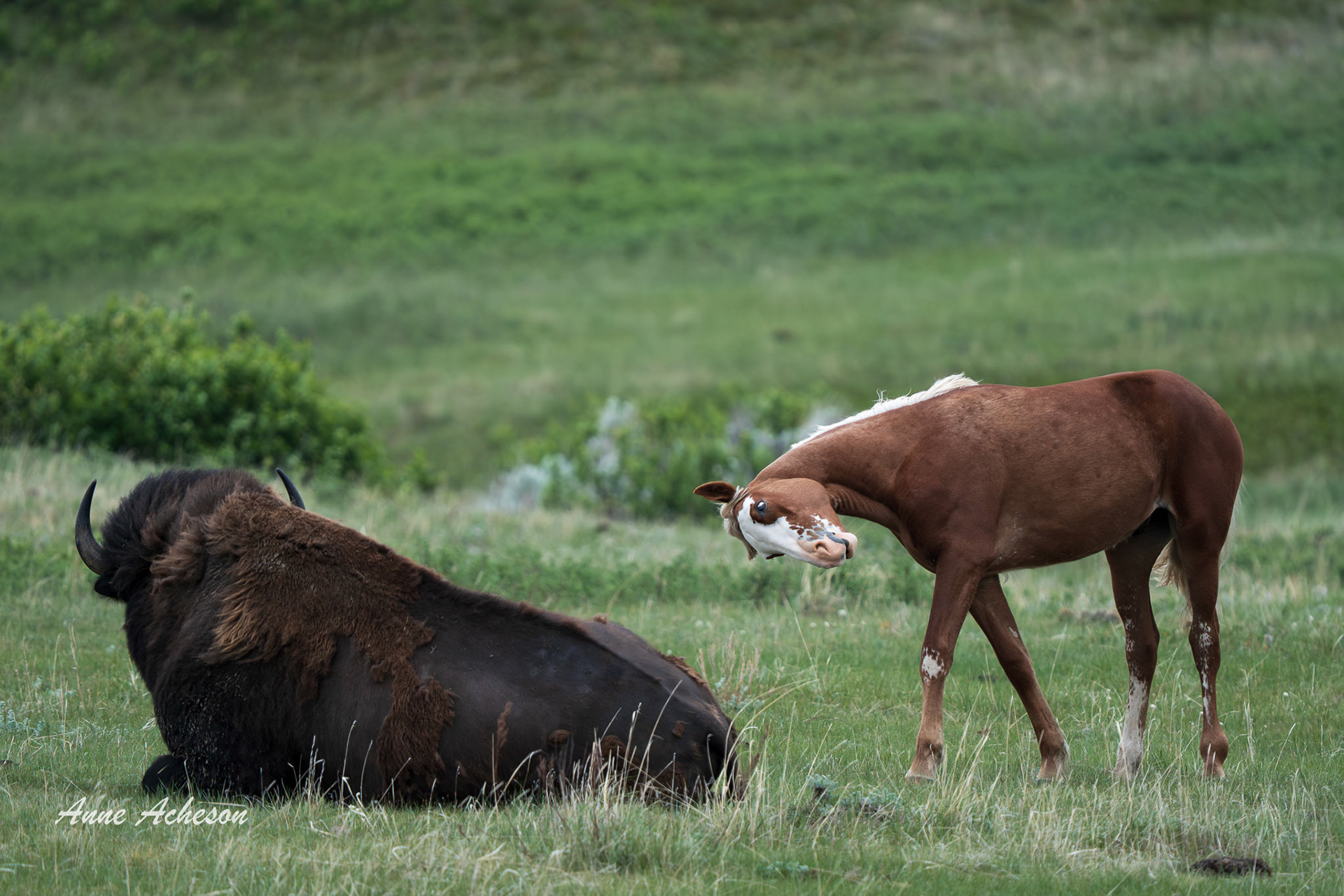Making Faces - 25012