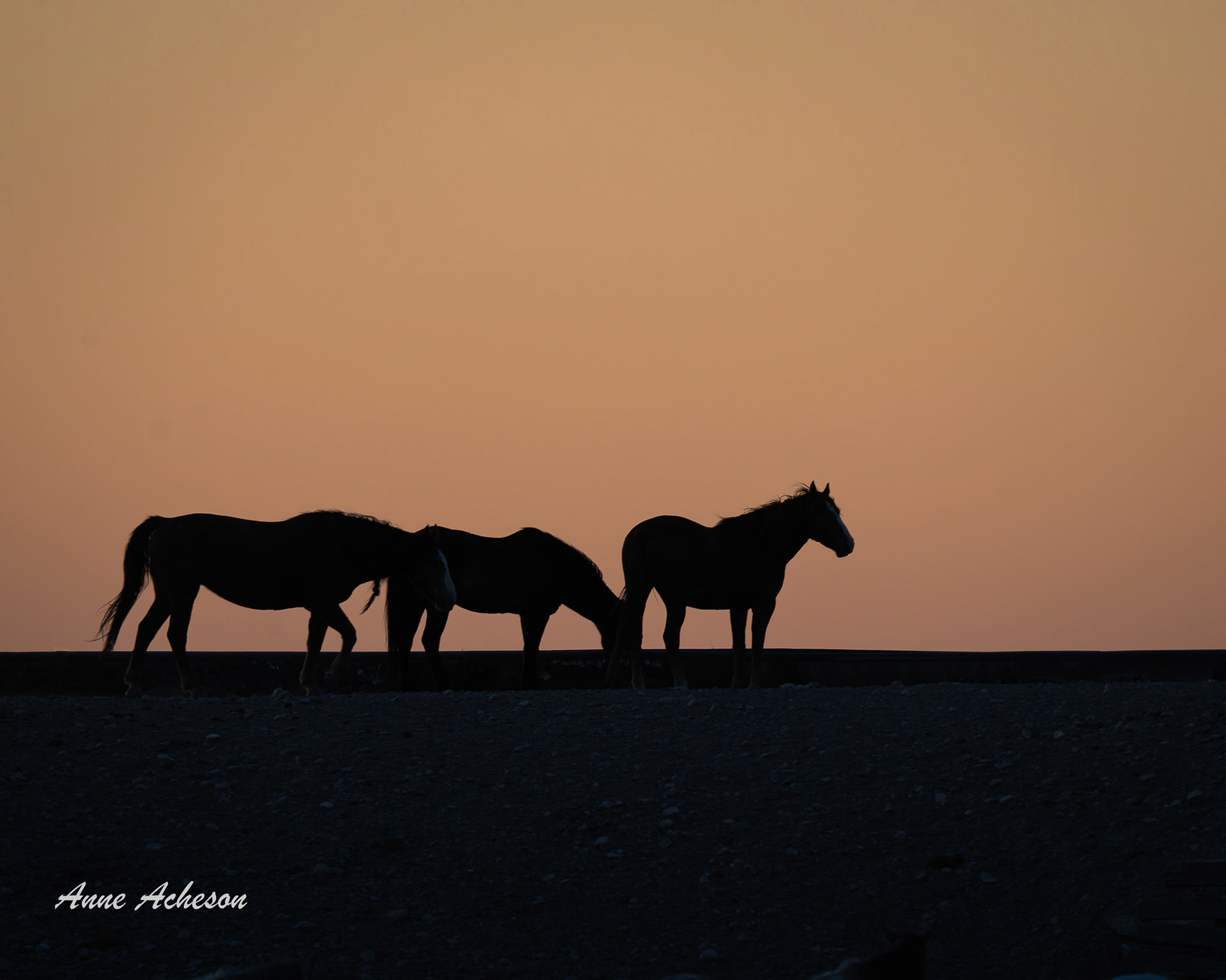 Onaqui Silhouette II - 25057