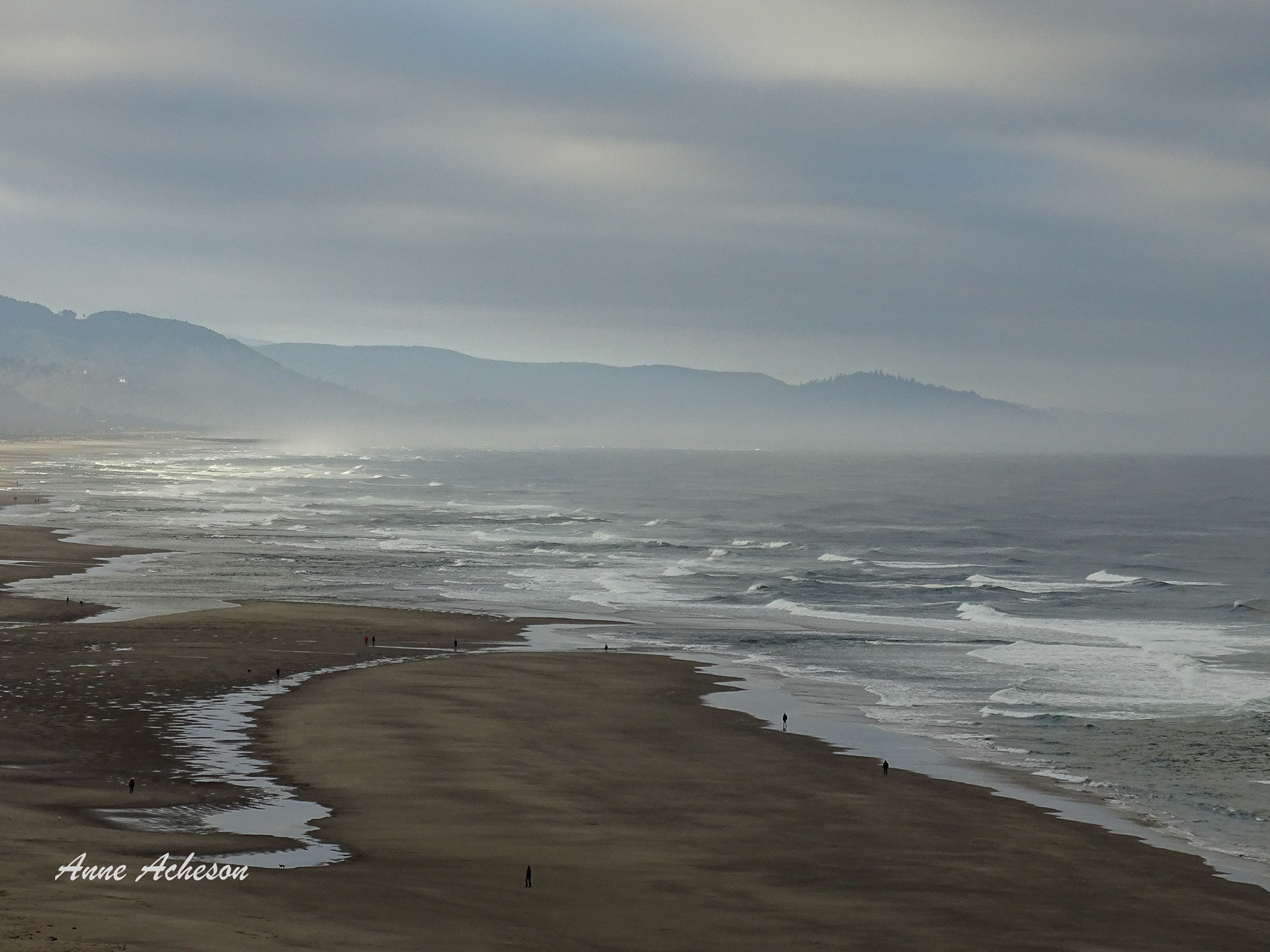 Manzanita - 18052