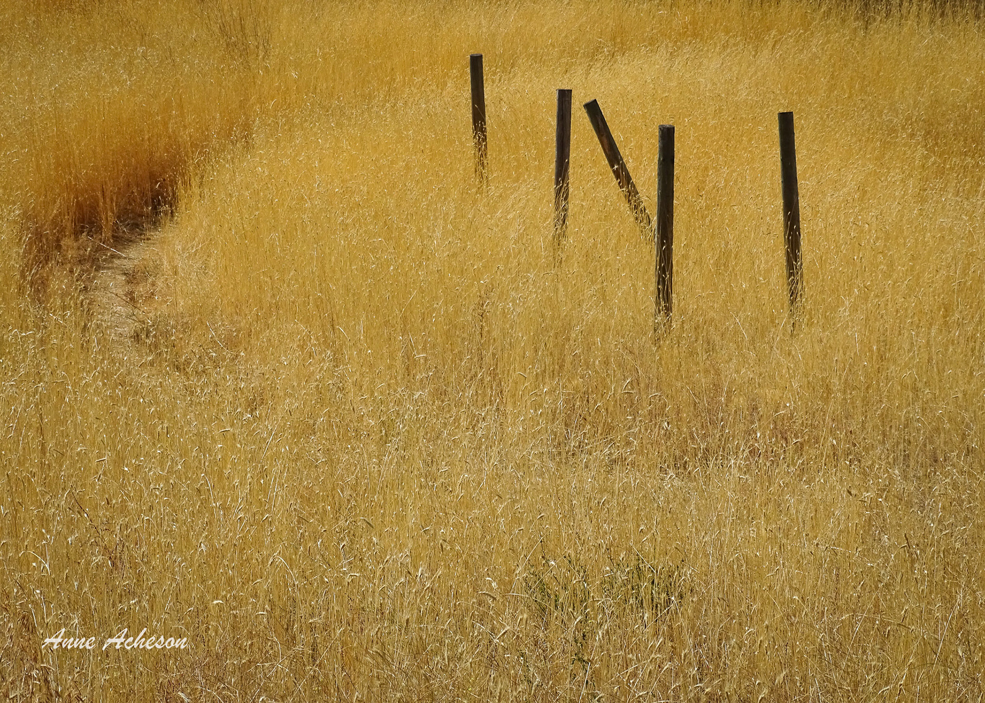 Fence Posts - 18040