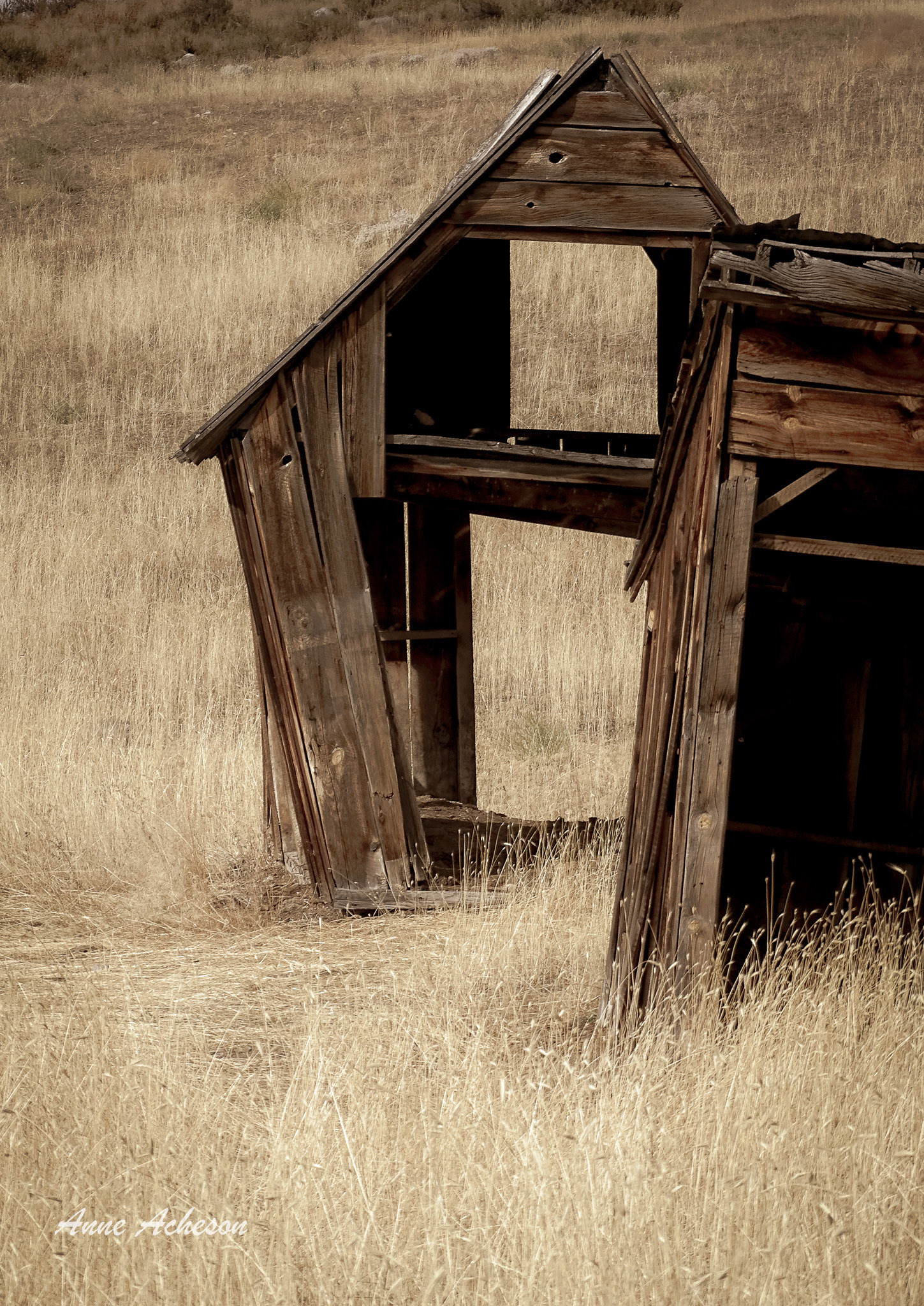 Homestead II - 18042