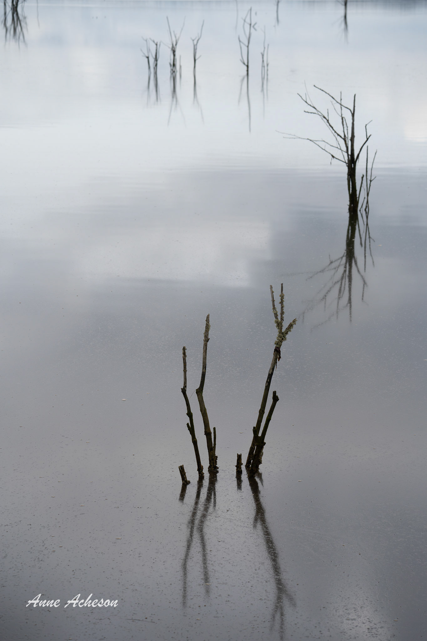 Reflections II - 24005