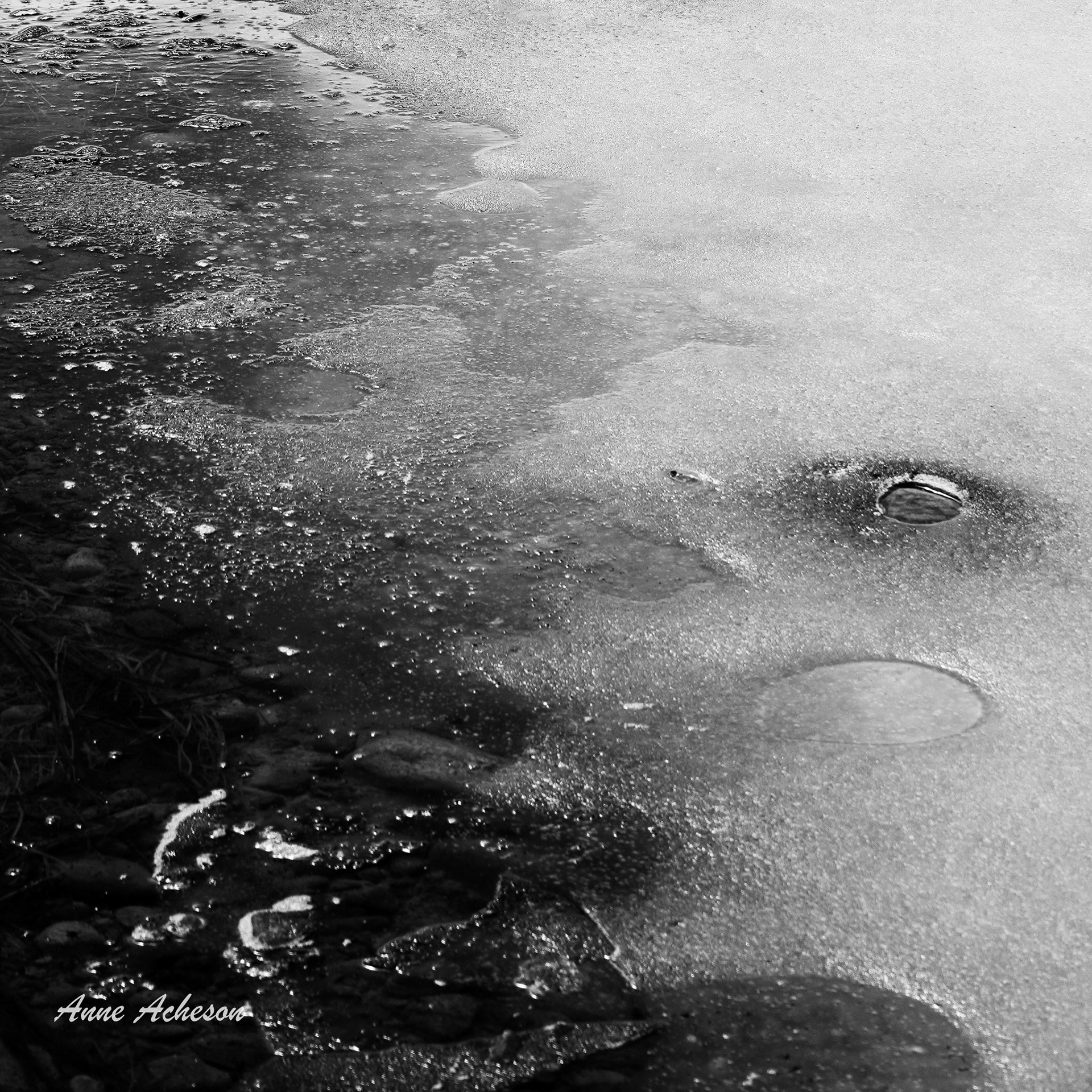 Shoreline Ice - 19055