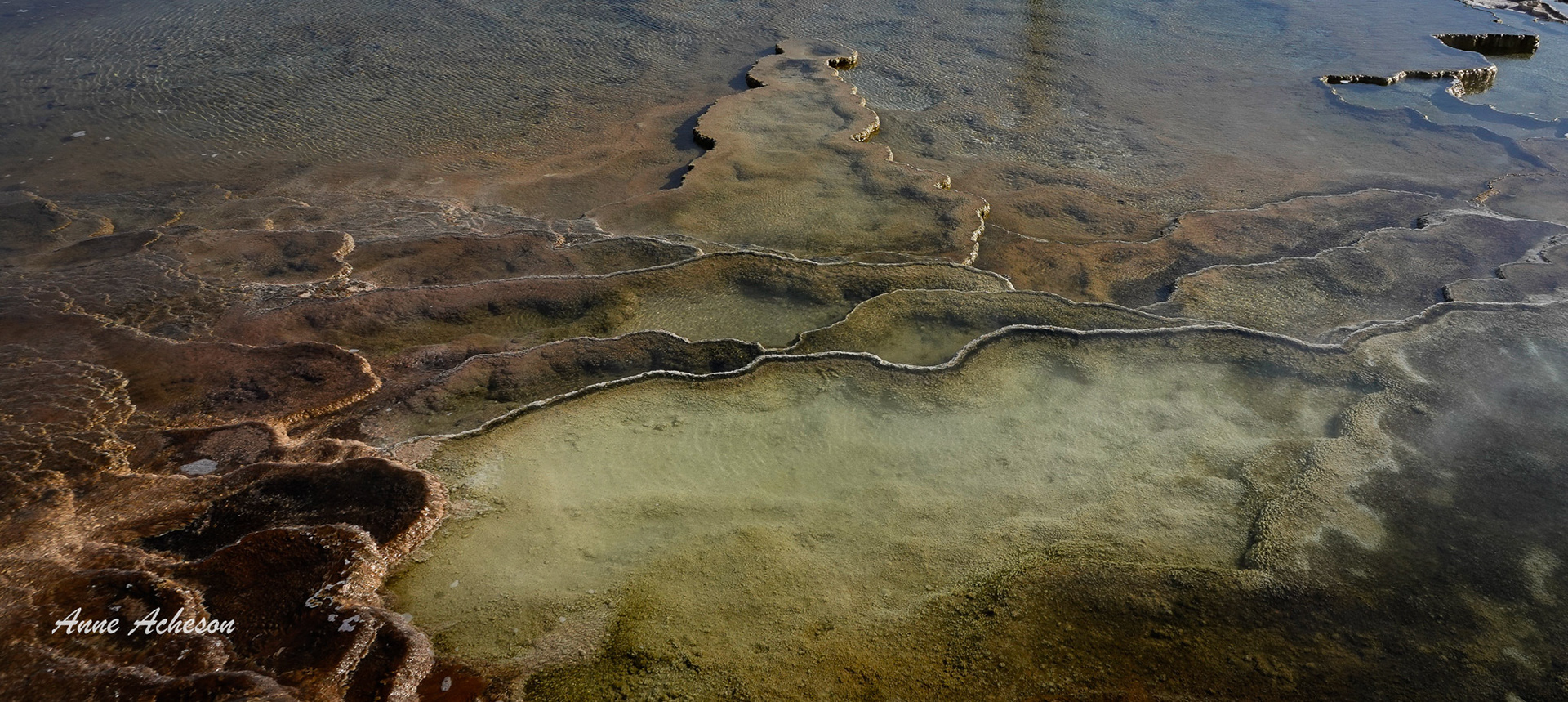 Mammoth Hot Spring Pool I - 22013