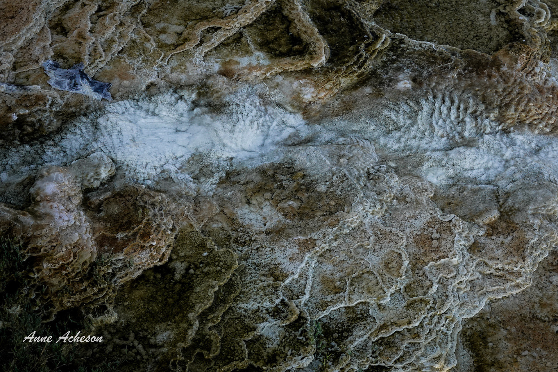 Mammoth Hot Spring Detail I