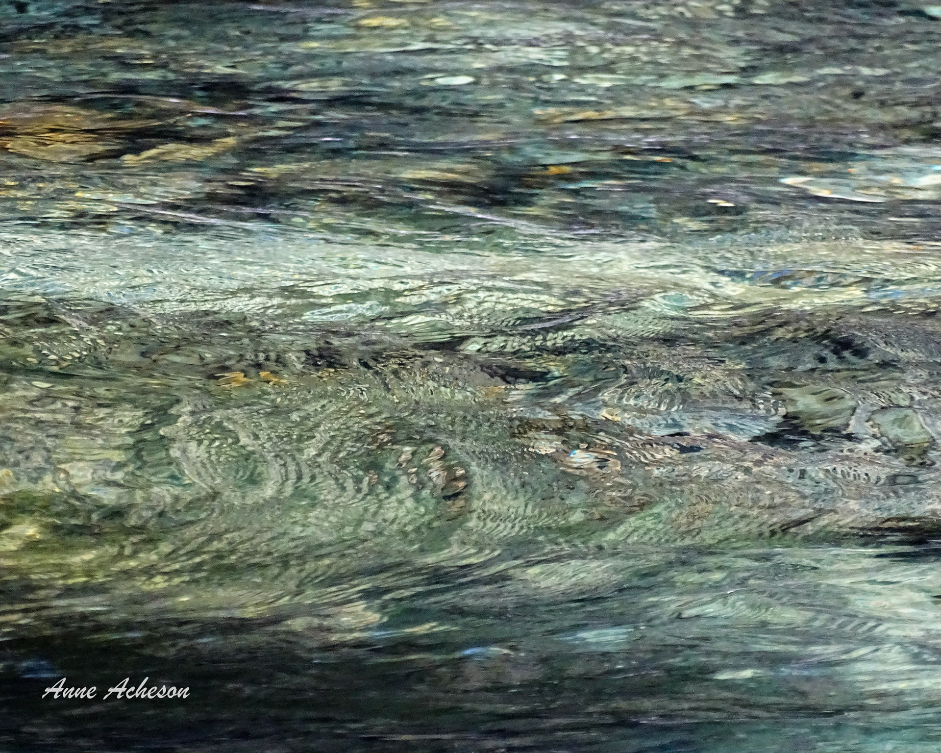 Ripples - 18028