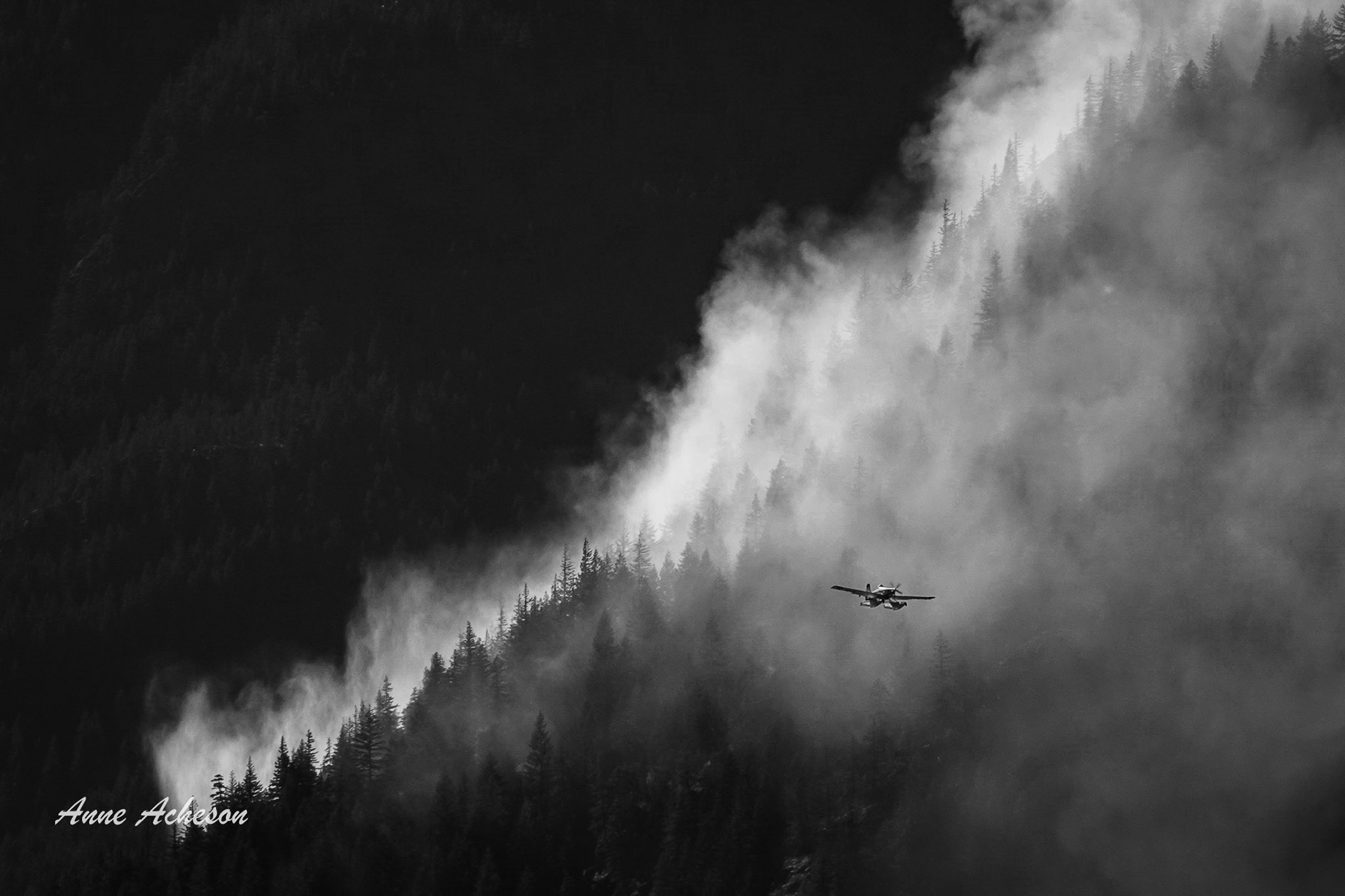 Fireboss - 23017