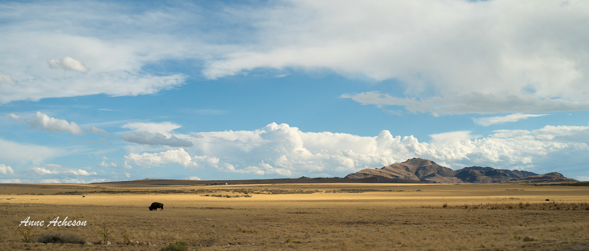 Antelope Island
