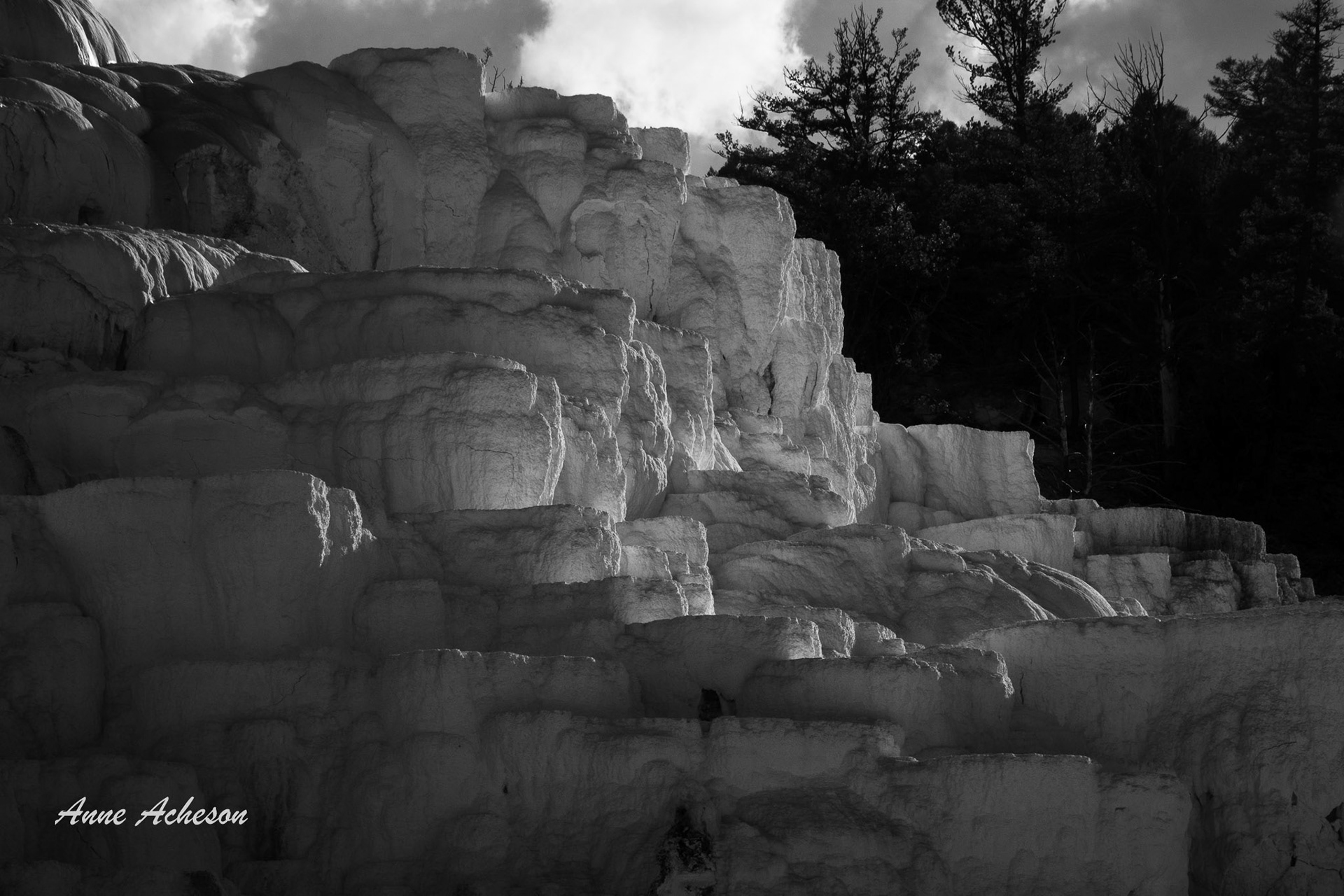 Mammoth Terraces - 24025