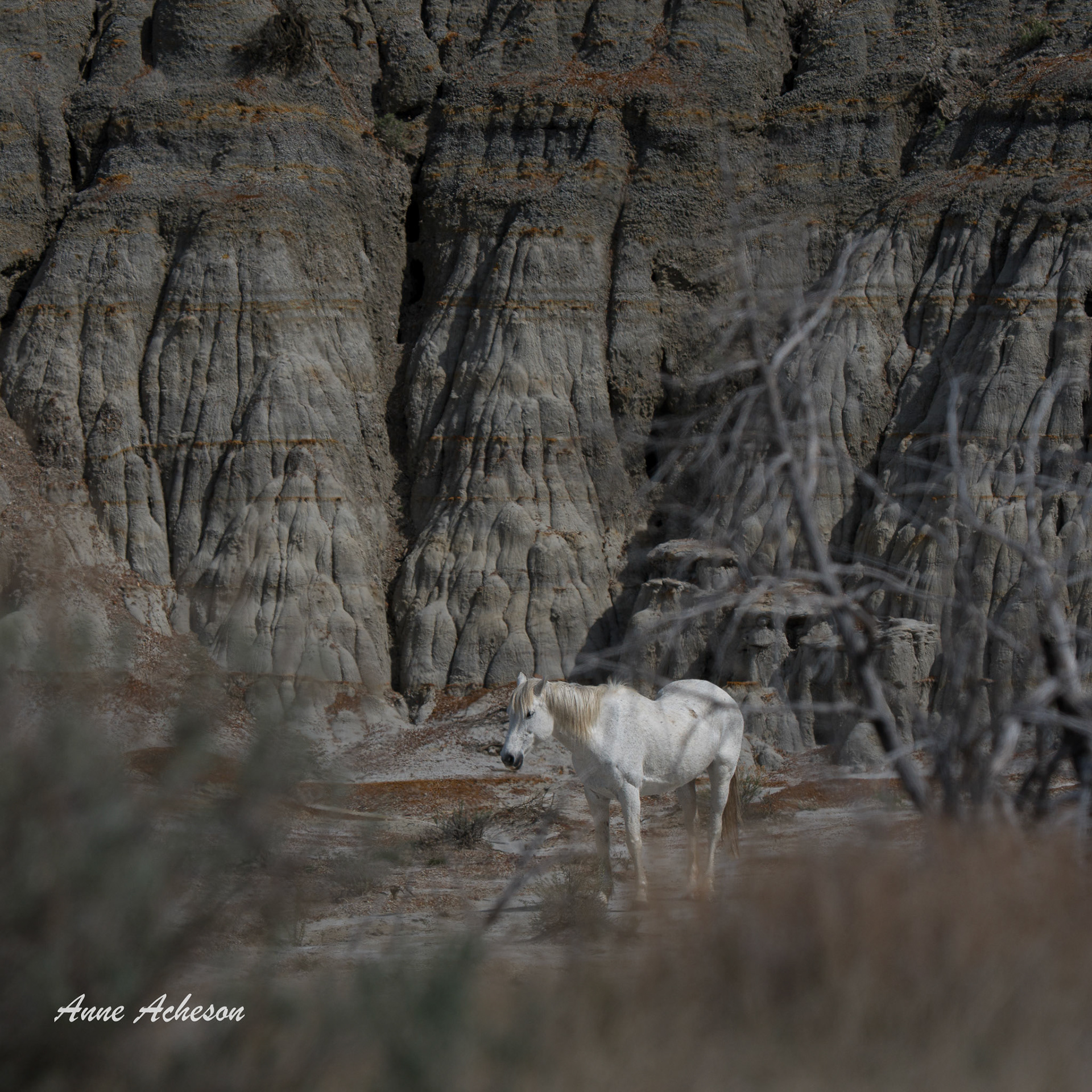Reflecting - 26036