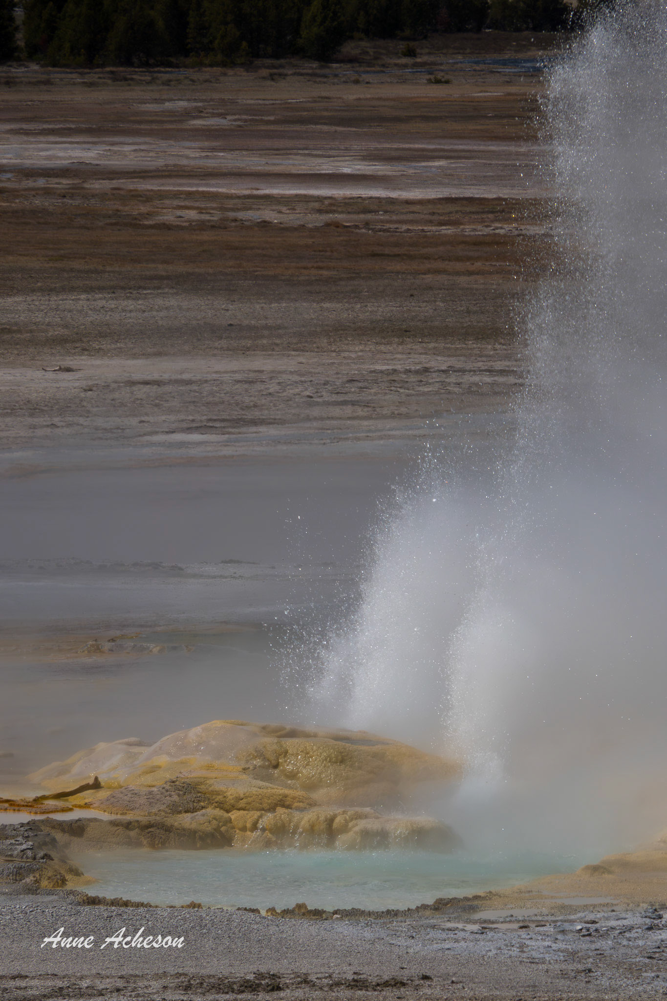 Geyser