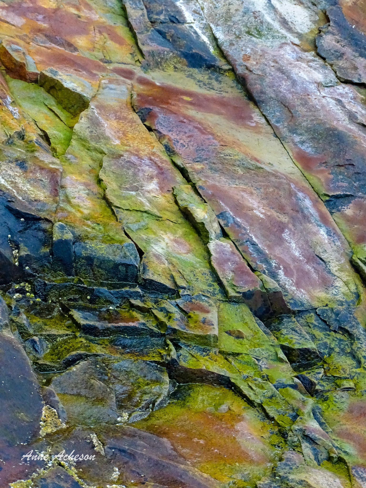 Painted Rock - 18029