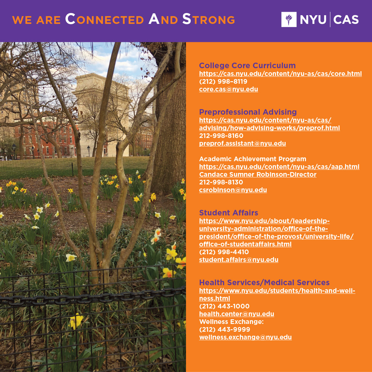 We Are Connected And Strong, NYU CAS logo, photo of Washington Square Park in the Spring