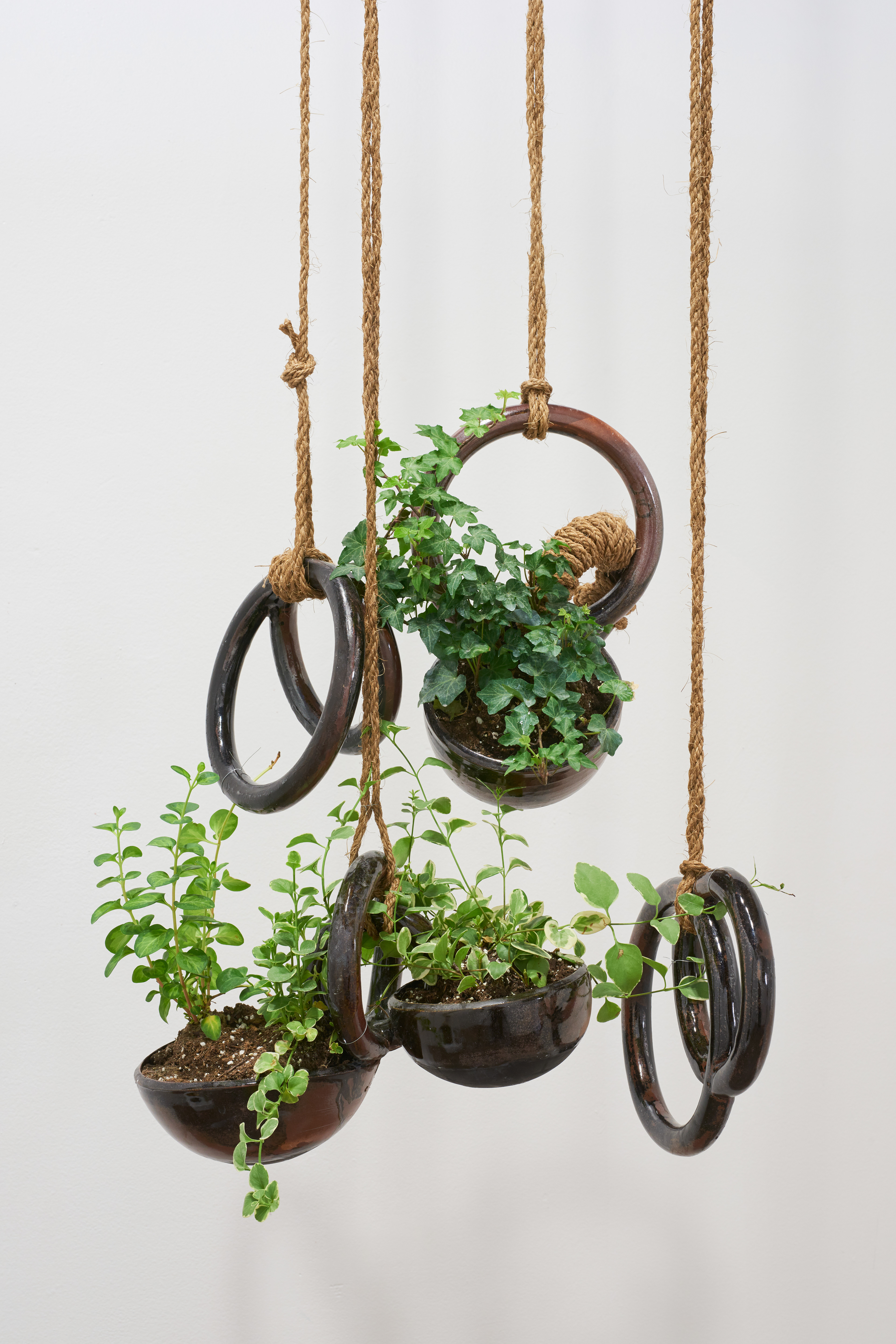 Hanging Baskets, 2018