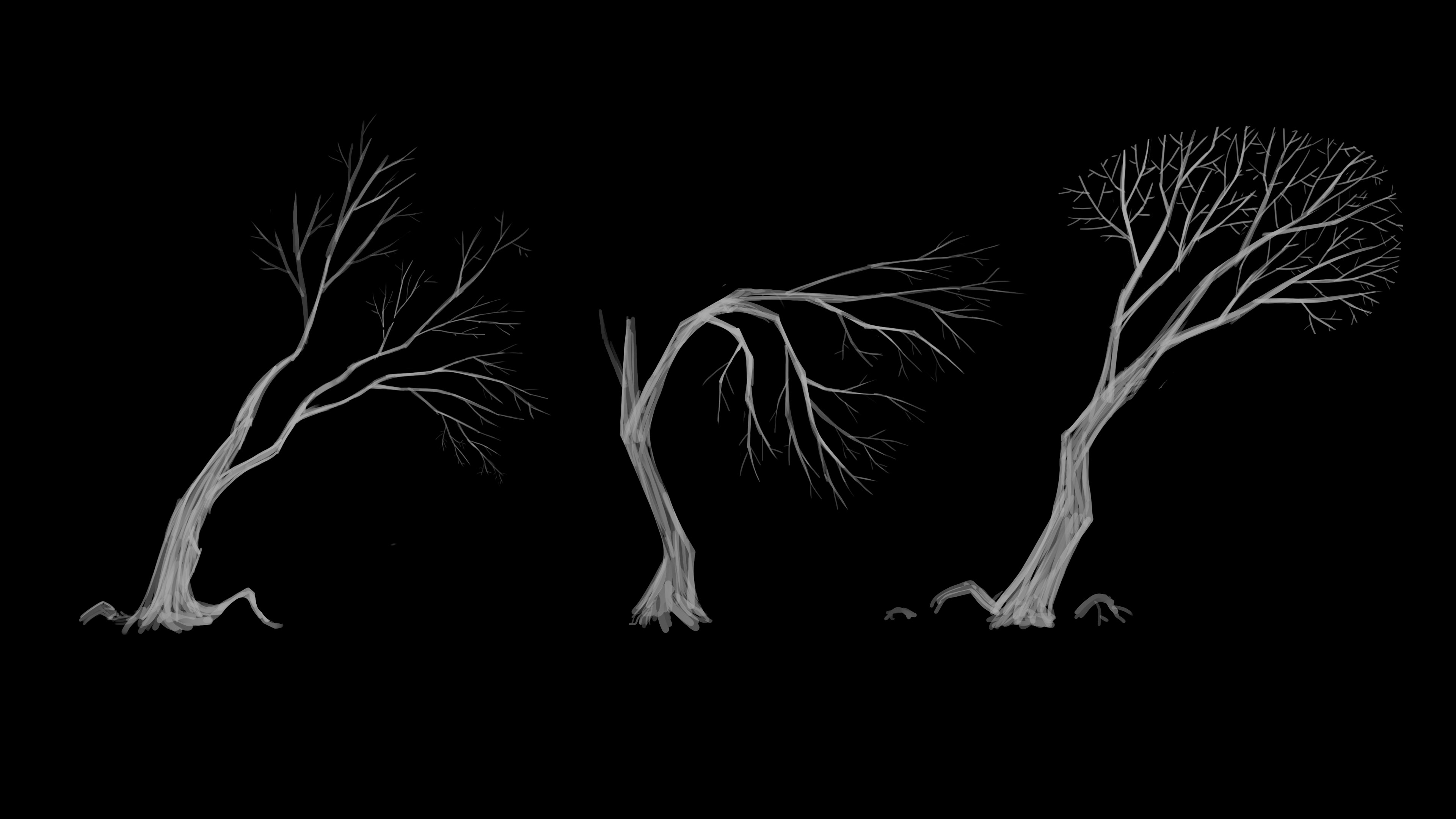 Quick tree exploration (2023).