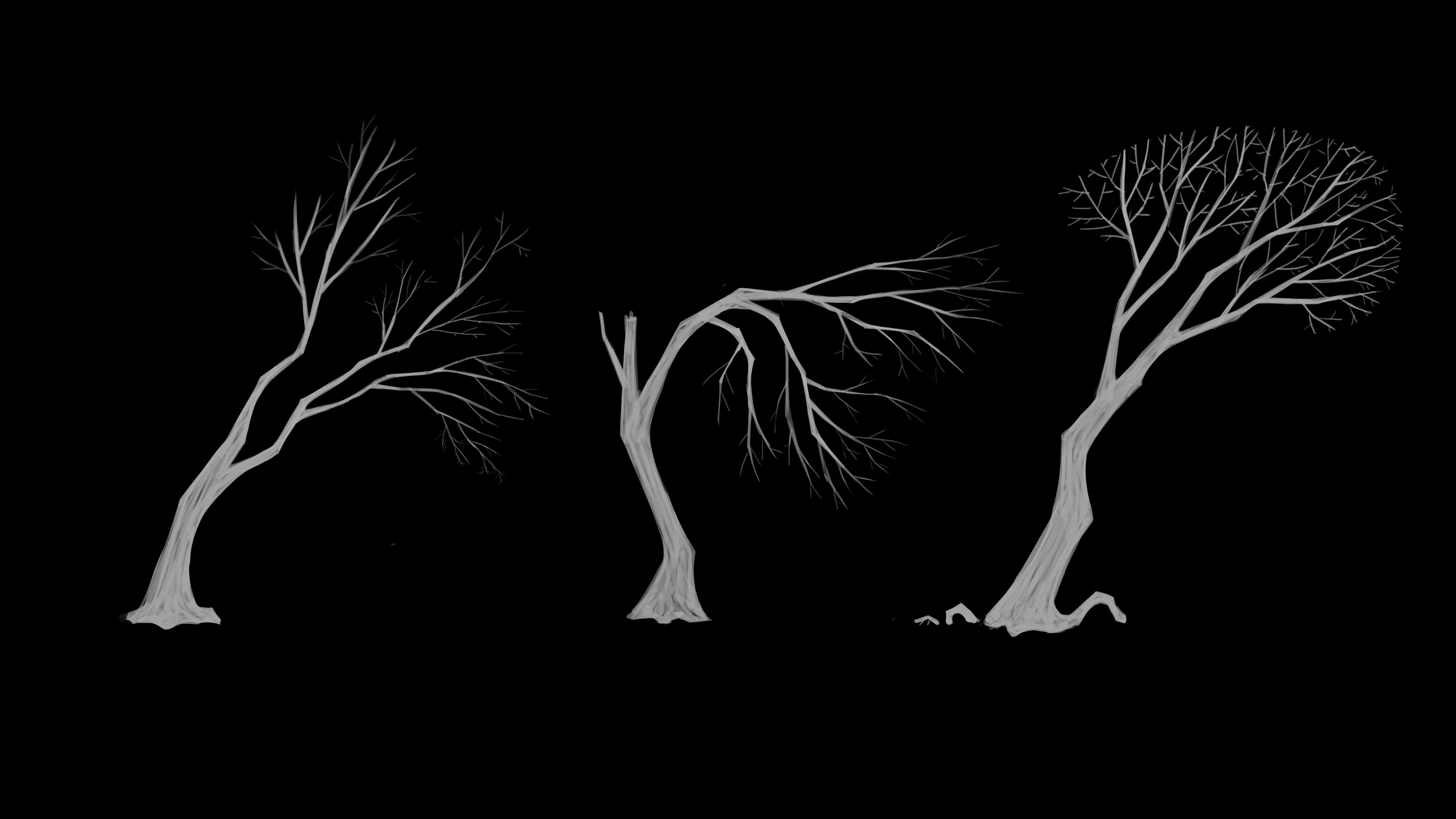 Quick tree exploration (2023).