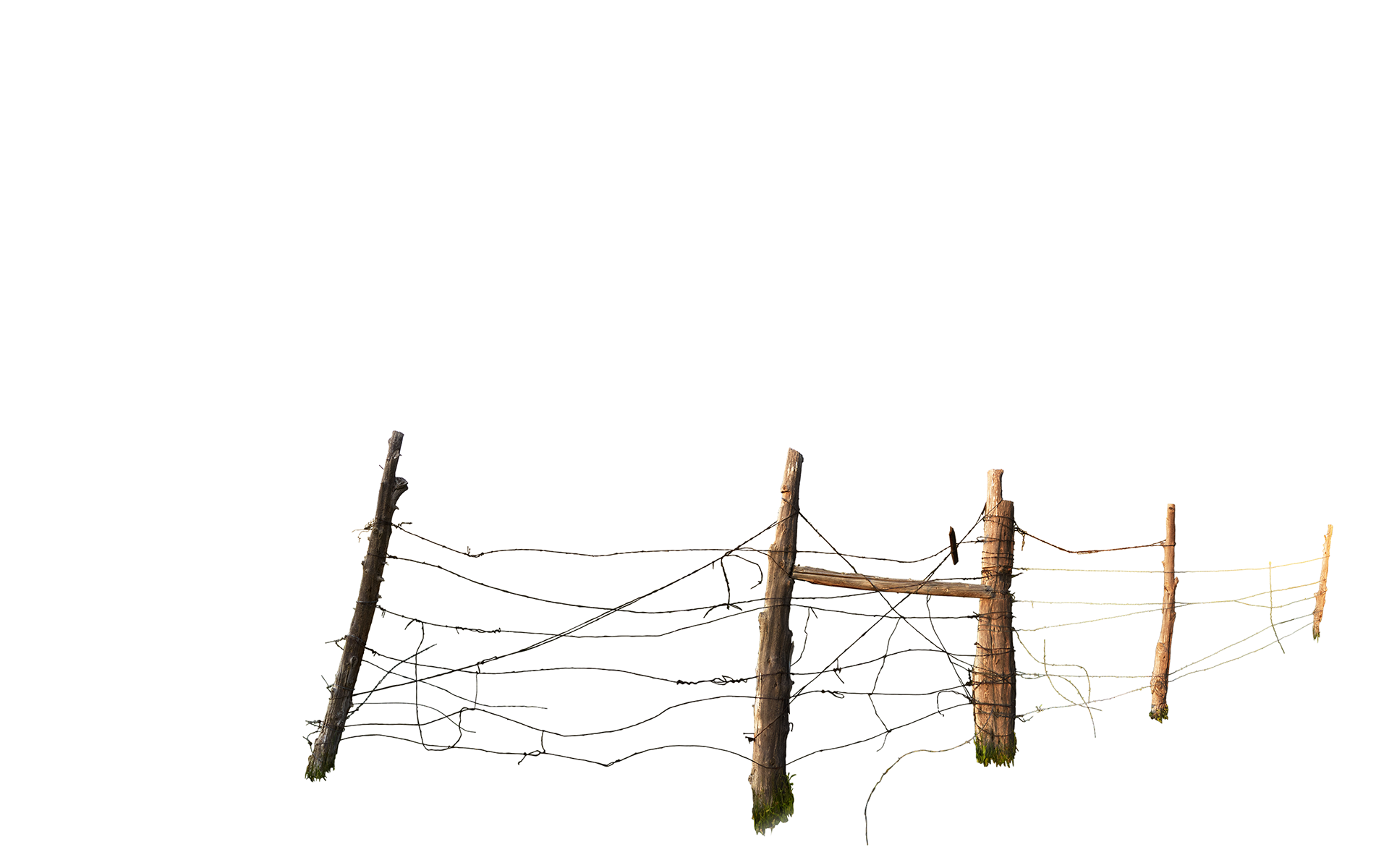 Layer 1 - Fence