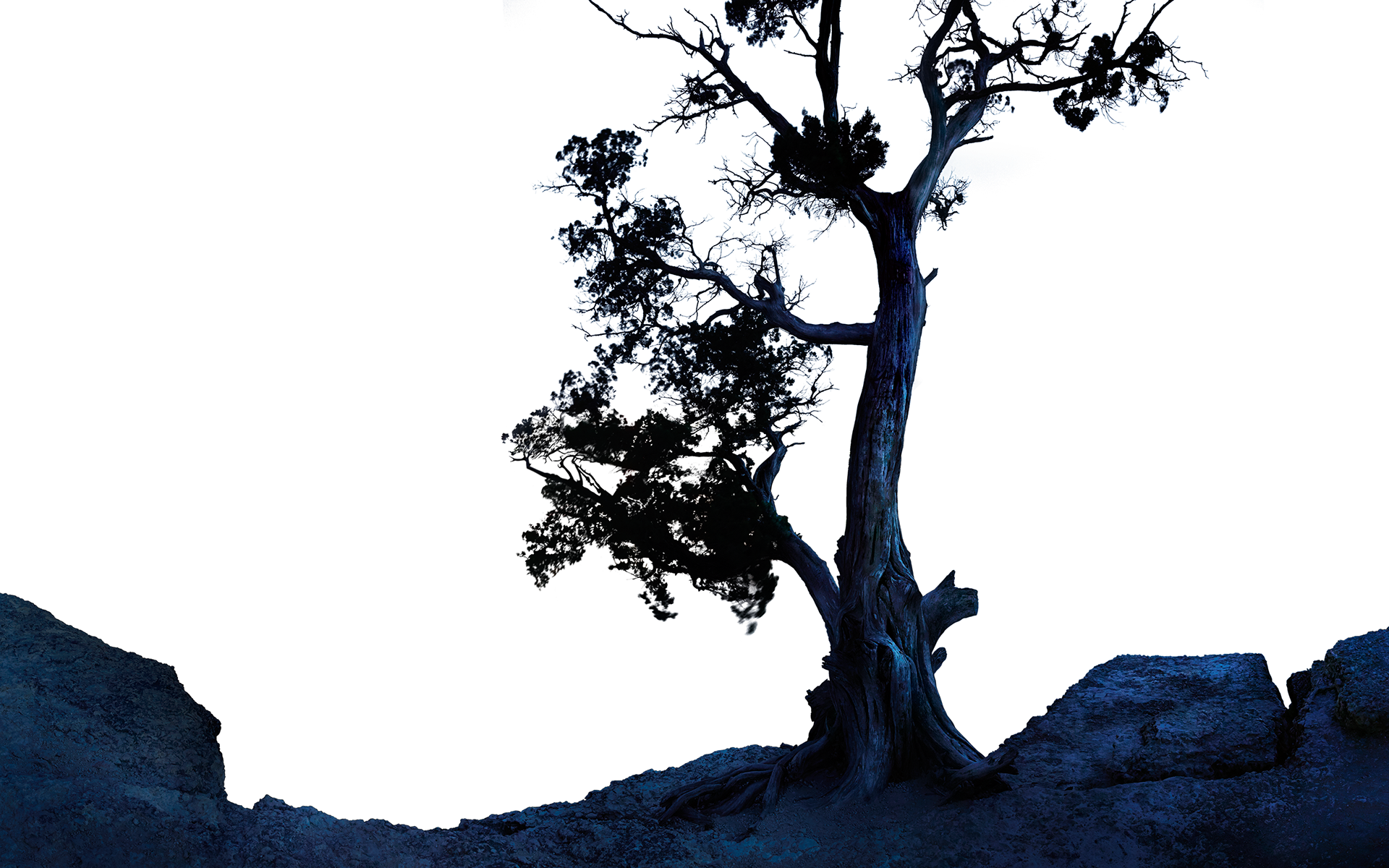 Layer 1 - Tree foreground