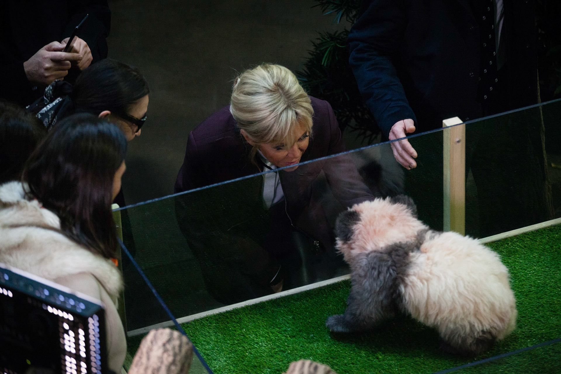 Brigitte Macron lors de la cérémonie de baptême du bébé panda (Yuan Meng) au zoo de Beauval. Beauval, FRANCE - 04/12/2017