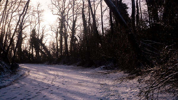 Winter was coming