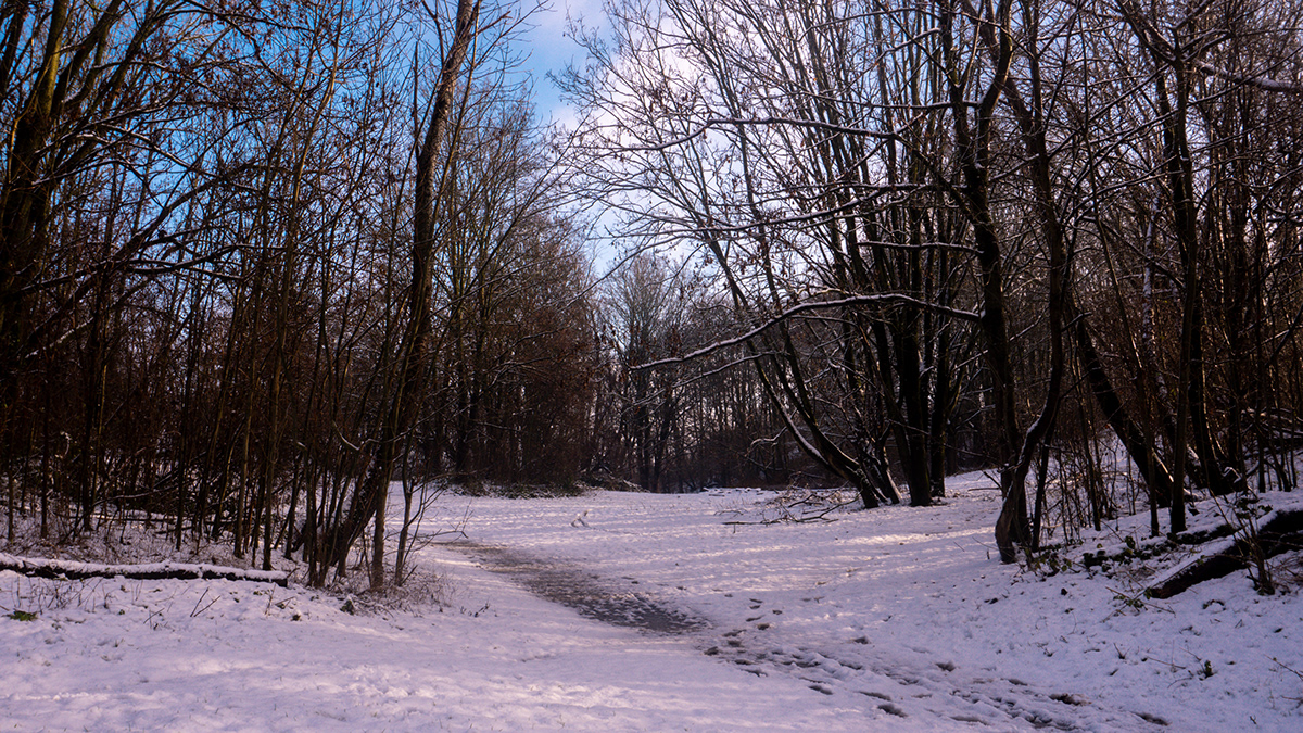 Winter was coming