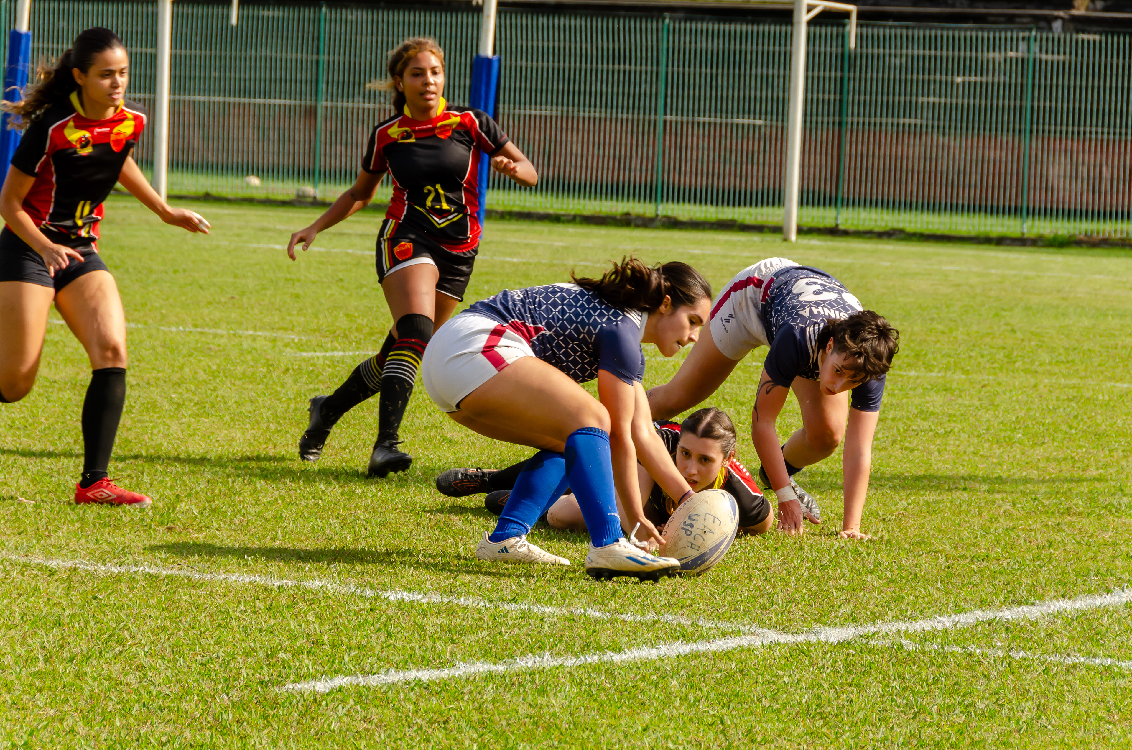 feaodonto_rugby X Rugbulls