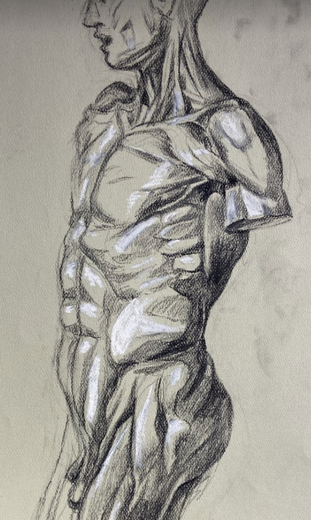 Anatomy Study
