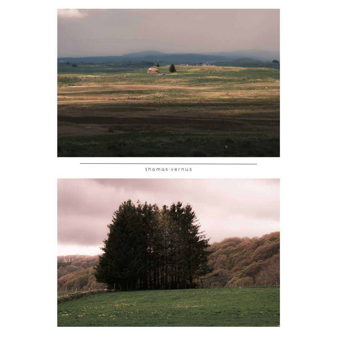Première série couleur, au numérique cette fois !  Ma pratique photo numérique a vraiment connu un renouveau lorsque je suis passé chez Fujifilm.  Pouvoir créer ses propre "émulsions" de film et les utiliser dès la prise de vue, m'a redonné goût à la photo,  à un moment où je commençait à perdre le plaisir à cause d'un post-traitement laborieux, et qui ne me satisfaisait pas.  De plus couplé à des objectifs des années 80 de Minolta,  j'ai retrouvé le charme de la pratique lente attentionnée de l'argentique.