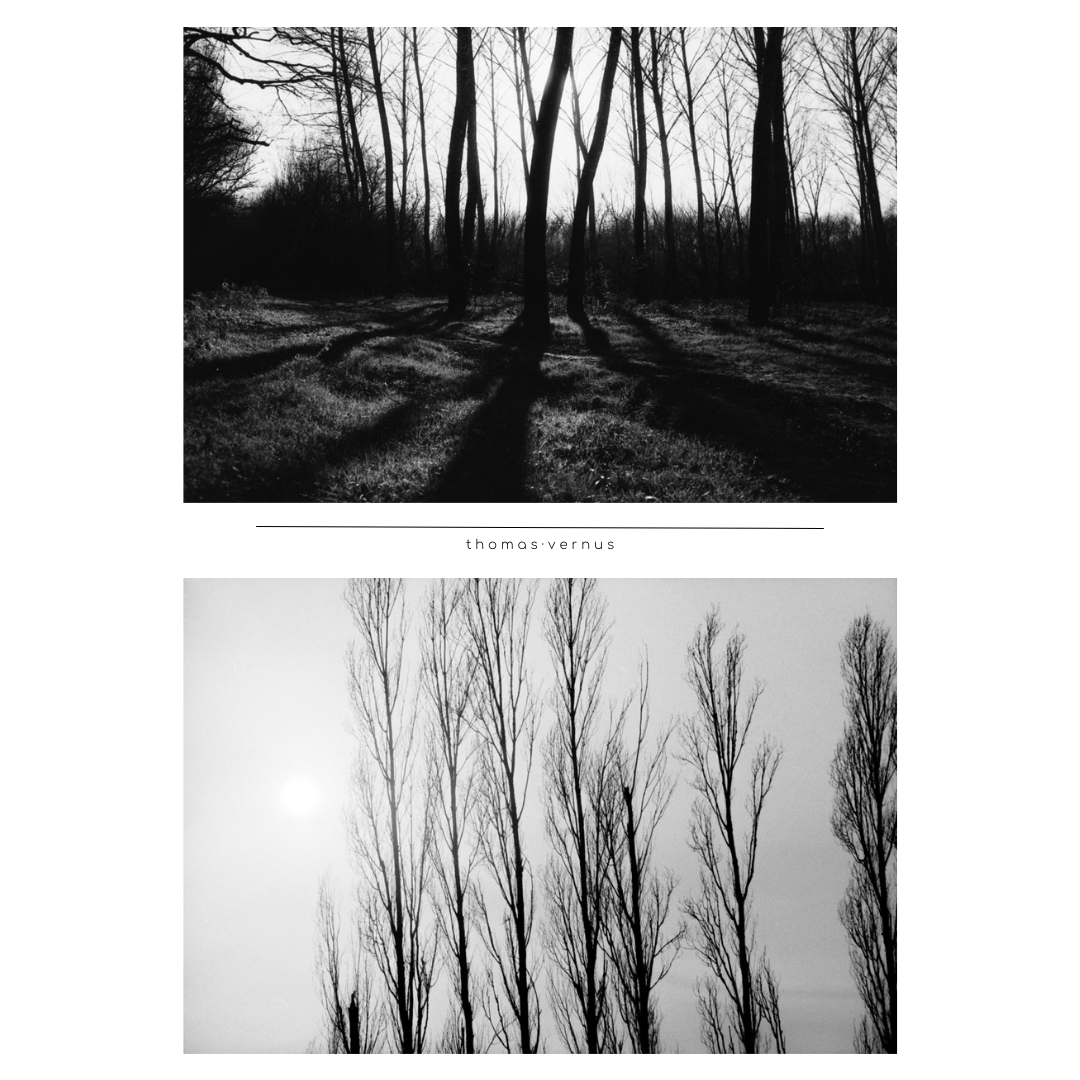 Dax, ville balnéaire, ville d'eau.  Les landes, dans le Sud-Ouest de la France sont connues pour être un département plutôt tranquille, et sa forêt de monoculture de Pin Maritime.  Mais dans le Sud du département se trouve encore l'aspect originel de ce dernier : des marais, des tourbes et des bosquets de chênes.  On appelle ce coin, la Chalosse, qui fait la transition entre la pinède, le Pays Basque et le Béarn.