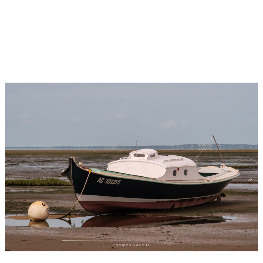 La Pinasse. Connaissez-vous ces jolis bateaux, typiques du Bassin d'Arcachon ? La "pinasse" désigne à l'origine un grand voilier de commerce armé, fait en bois de Pin.  Il en existe toutes sortes à travers le monde, gréés de un à trois mats ...  Mais, sur le Bassin d'Arcachon, une autre espèce s'est développé de son côté.  Cette petite embarcation de pin à fond plat, à l'origine à voile et avirons et aujourd'hui à moteur,  a vraiment contribué à l'image d'épinal du Bassin, de sa culture et de son charme. C'est toujours un plaisir de les contempler, avec leurs lignes fines et leur allure paisible. En avez-vous déjà vu ?