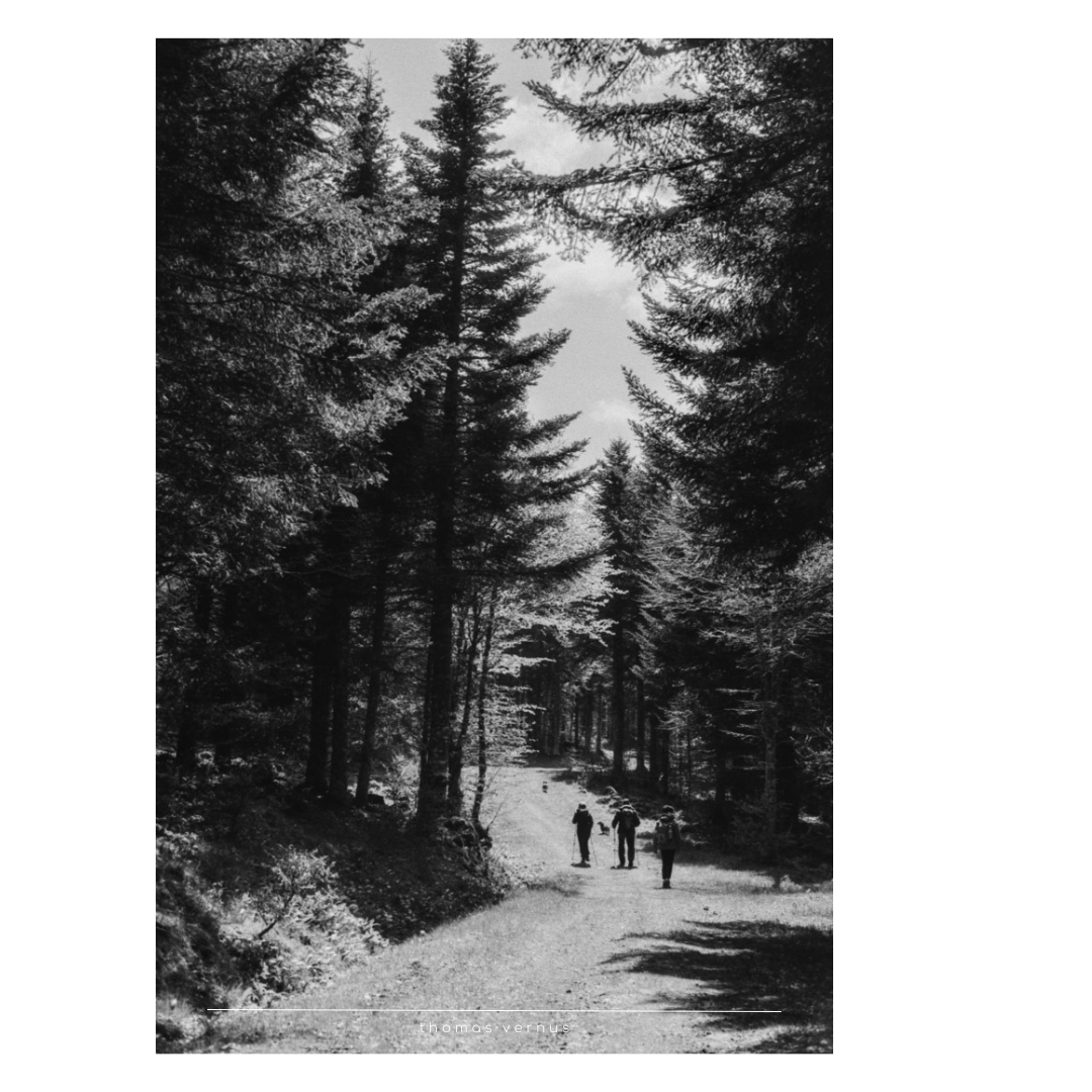 Cette petite série me touche beaucoup, pour plusieurs raisons.  La première, la plus simple, c'est pour la beauté de ses paysages.  Le plateau de l'Aveyron, vu depuis les pistes de ski, en été, de Laguiole. La suivante car il s'agit d'un moment partagé avec mon père, dans cette région qu'il a choisi pour sa retraite. Et enfin, car j'ai photographié ces lieux avec son appareil photo, un Minolta SRT100x. J'ai développé la pellicule moi même, au labo du Club Photo de Dax.