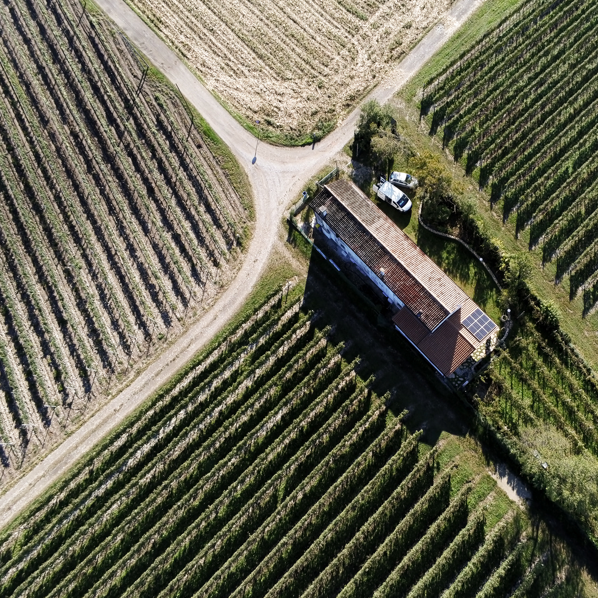 Campo di Volo Arcade, Treviso, Italy