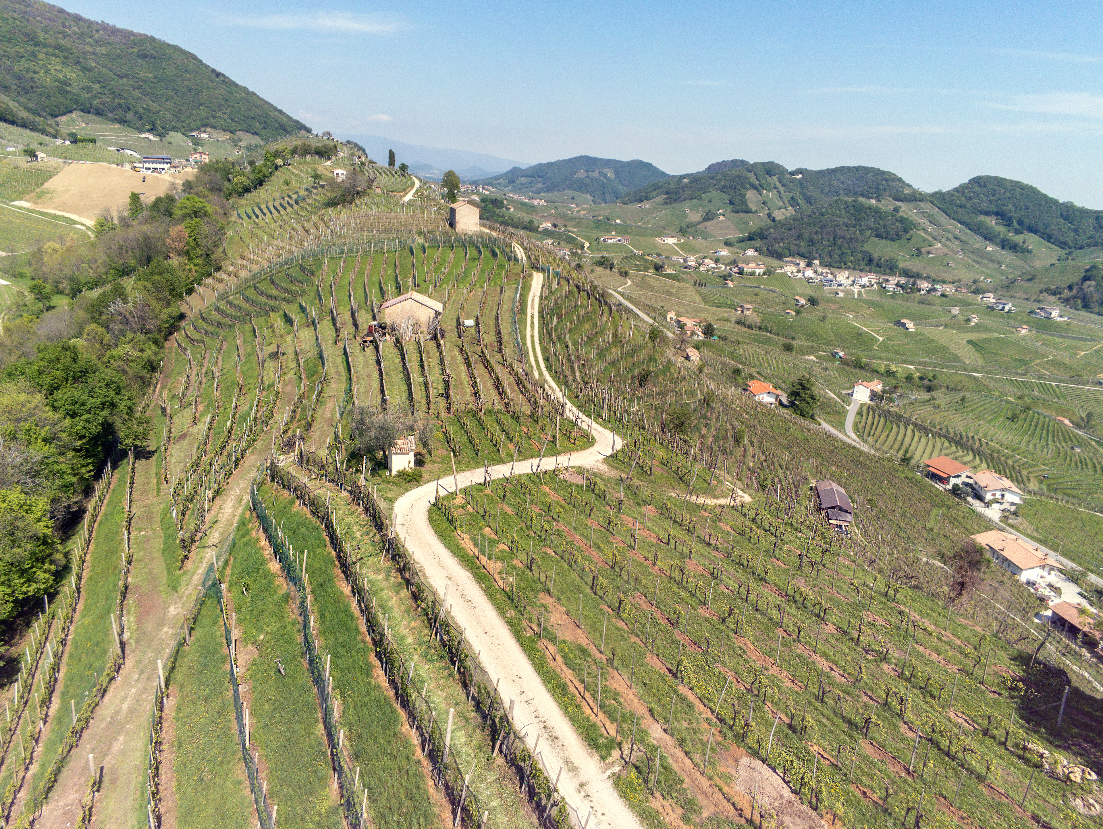 Cantine Vedova, Valdobbiadene © Federico Lazzarini