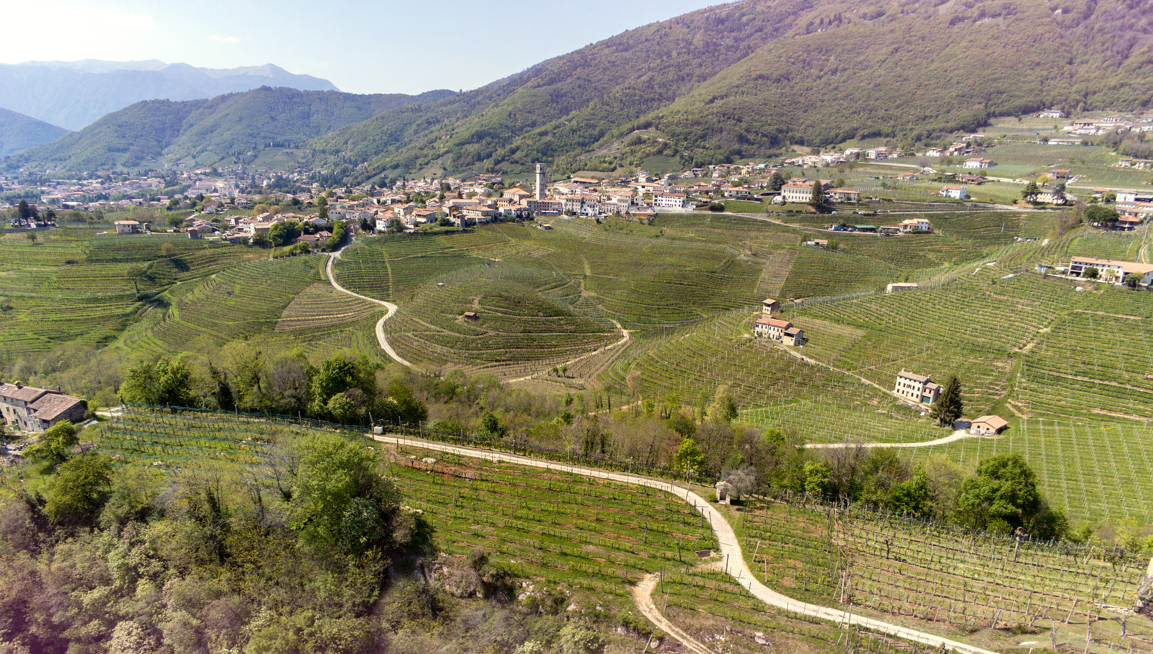 Cantine Vedova, Valdobbiadene © Federico Lazzarini